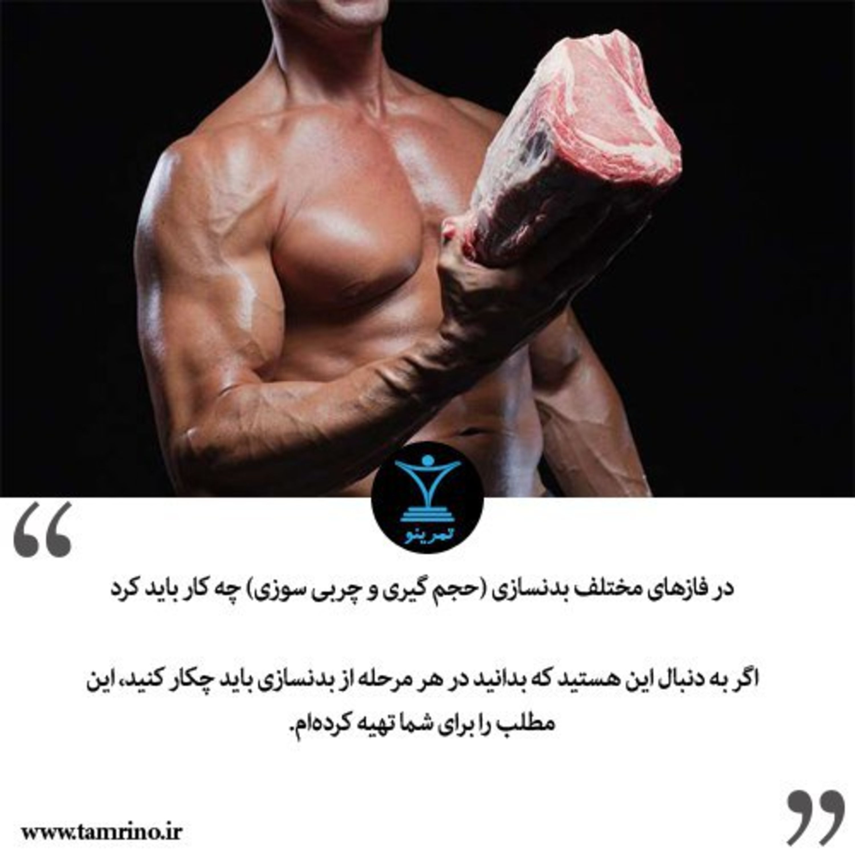 در فازهای مختلف بدنسازی (حجم گیری و چربی سوزی) چه کار باید کرد؟ episode artwork
