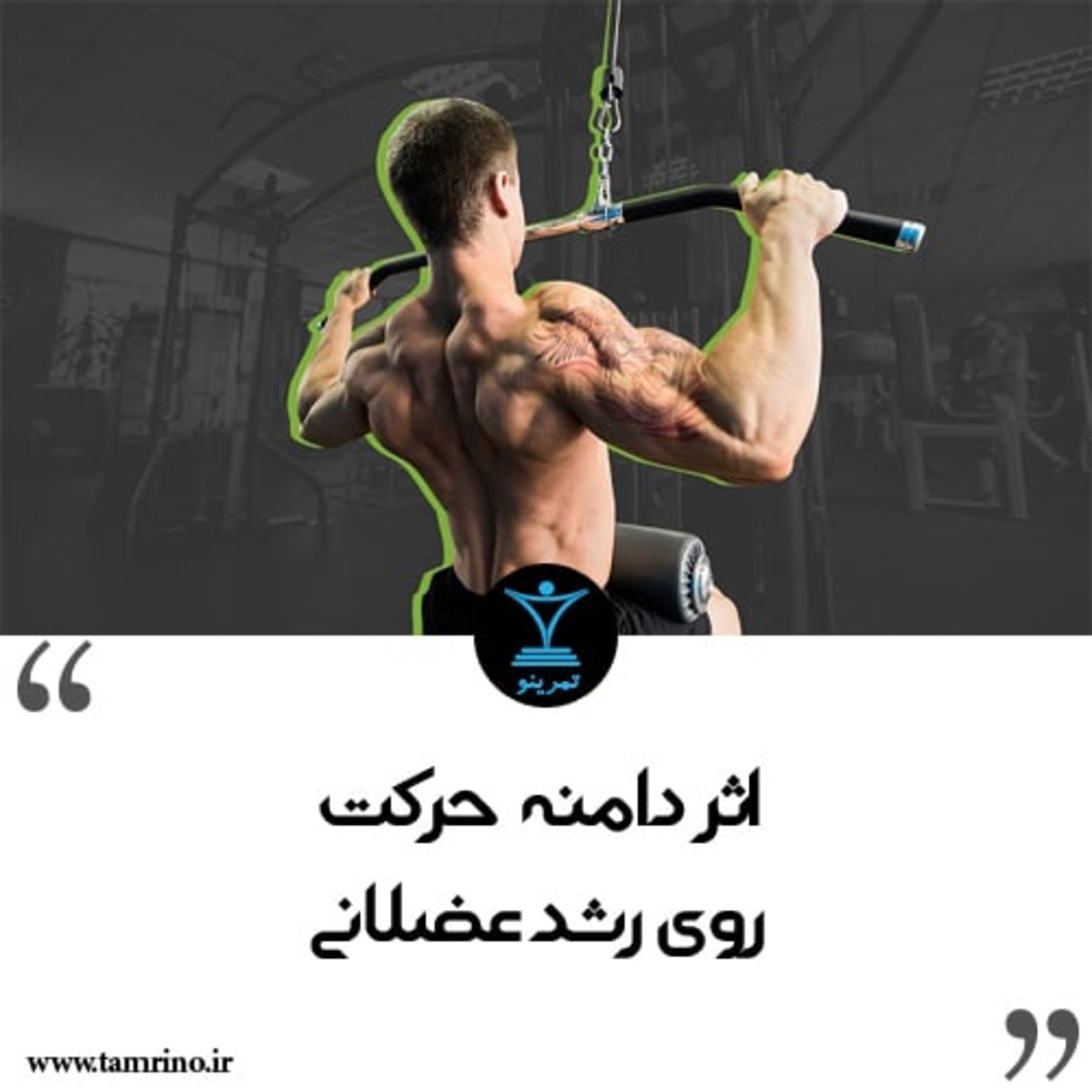 اثر دامنه حرکت روی رشد عضلانی episode artwork