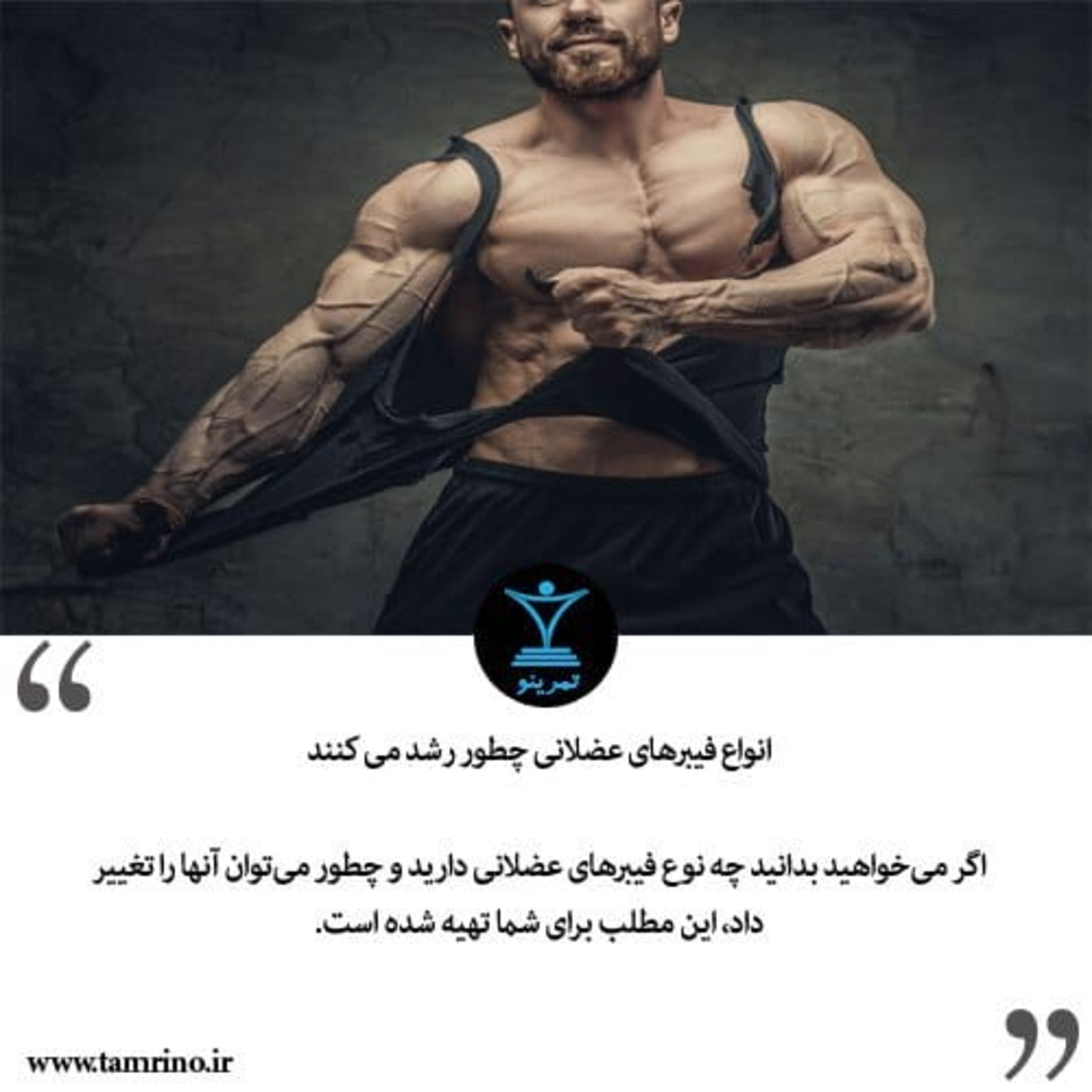انواع فیبرهای عضلانی چطور رشد می کنند؟ episode artwork