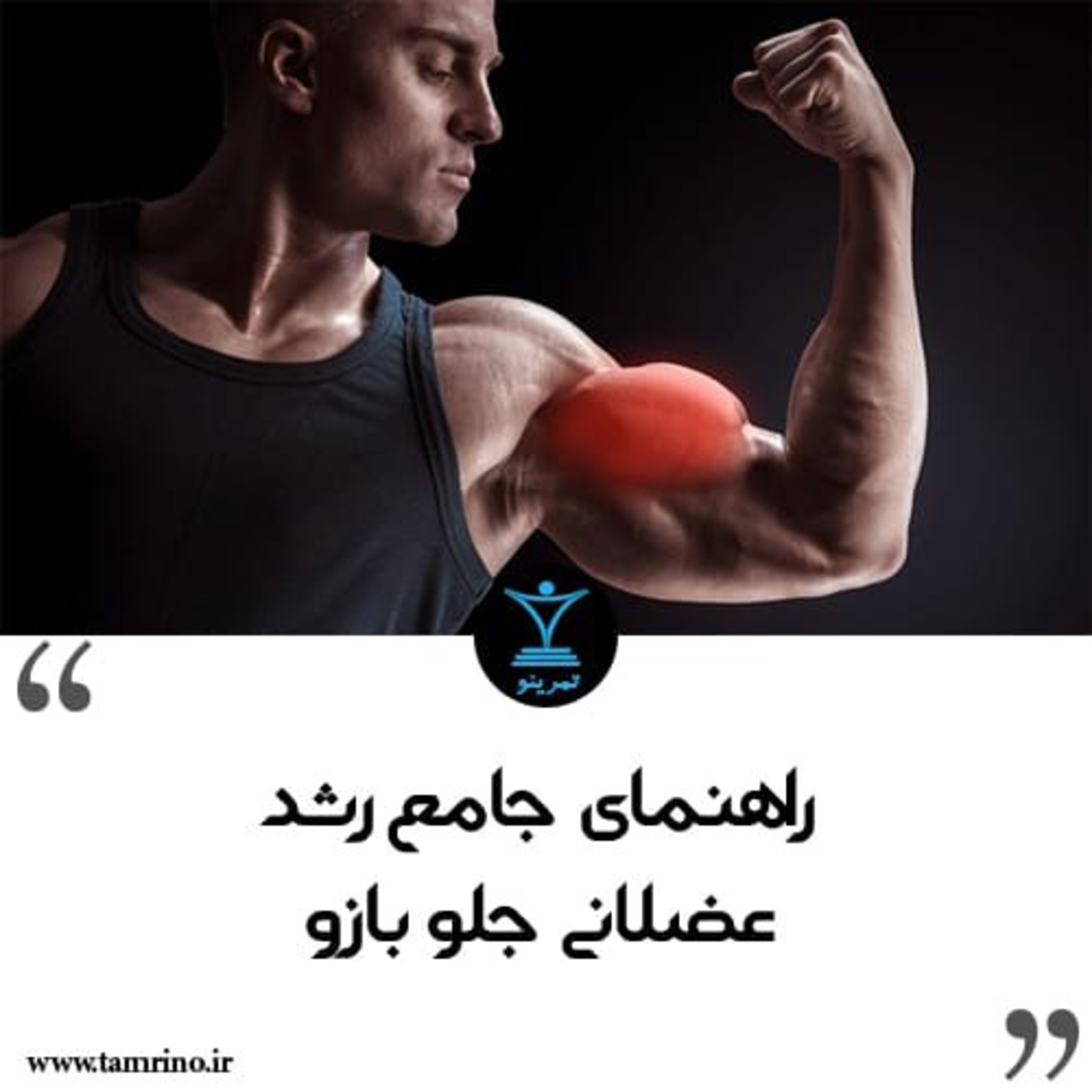 راهنمای جامع رشد عضلانی جلو بازو