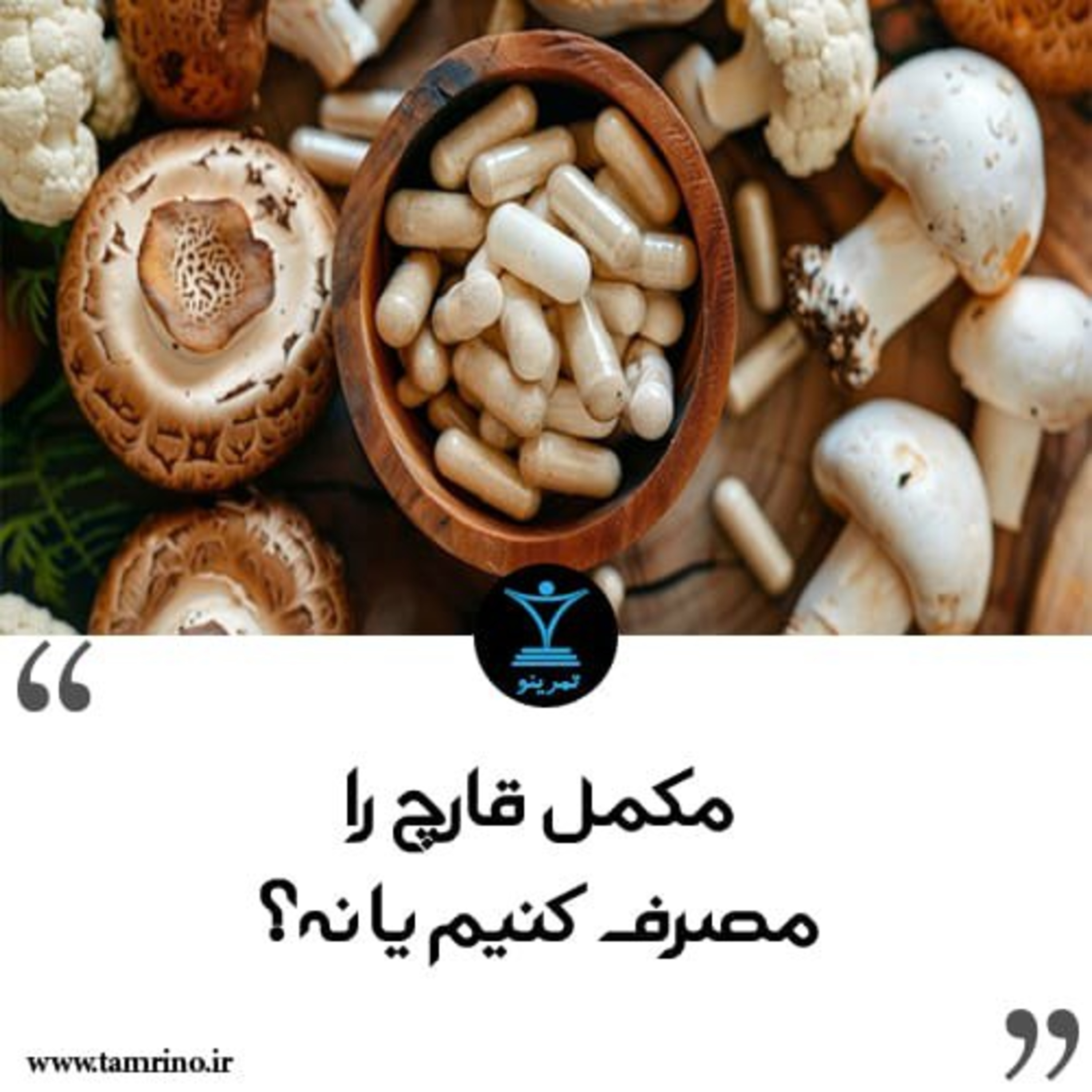 مکمل قارچ را مصرف کنیم یا نه؟