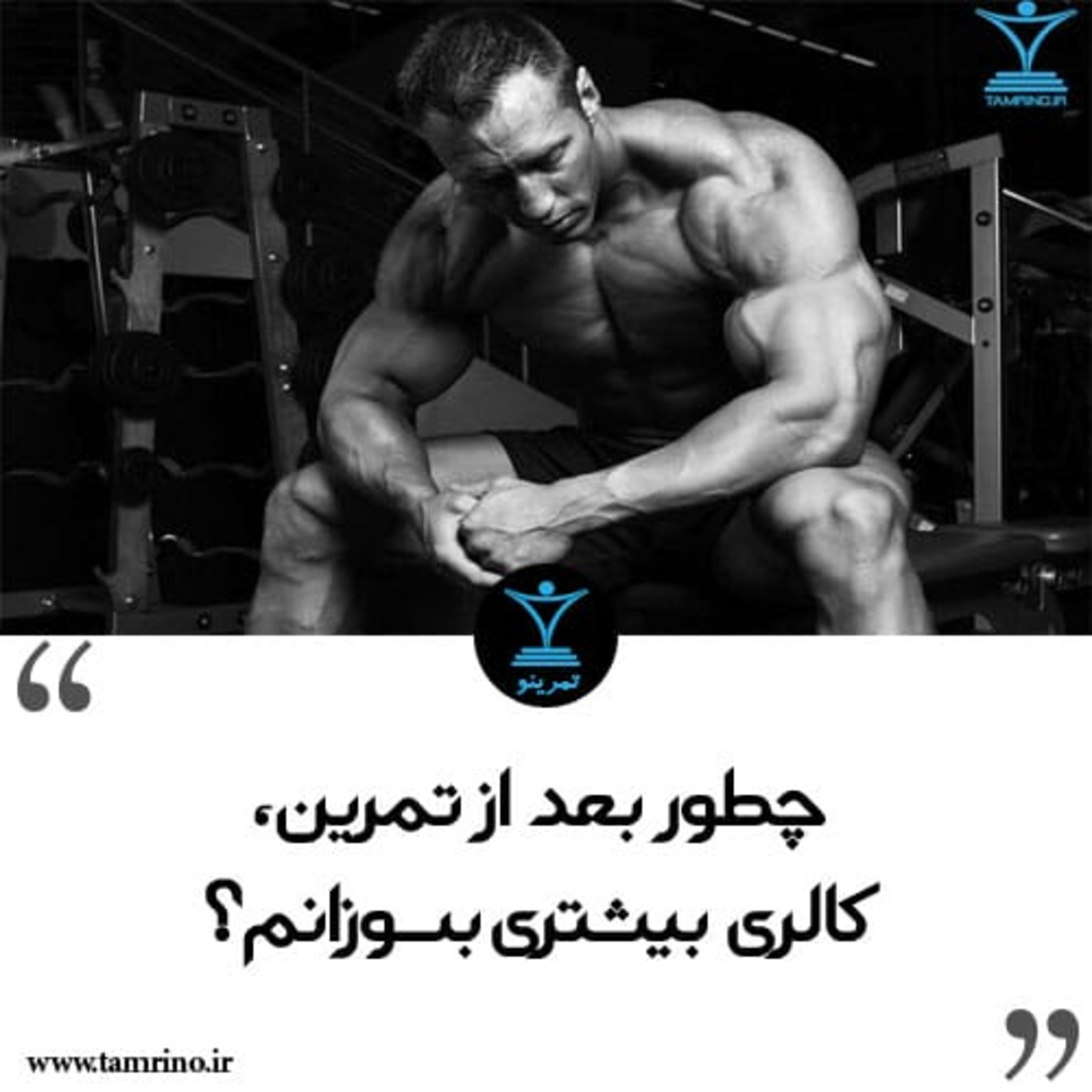 چطور بعد از تمرین، کالری بیشتری بسوزانم؟ (هوش مصنوعی) episode artwork