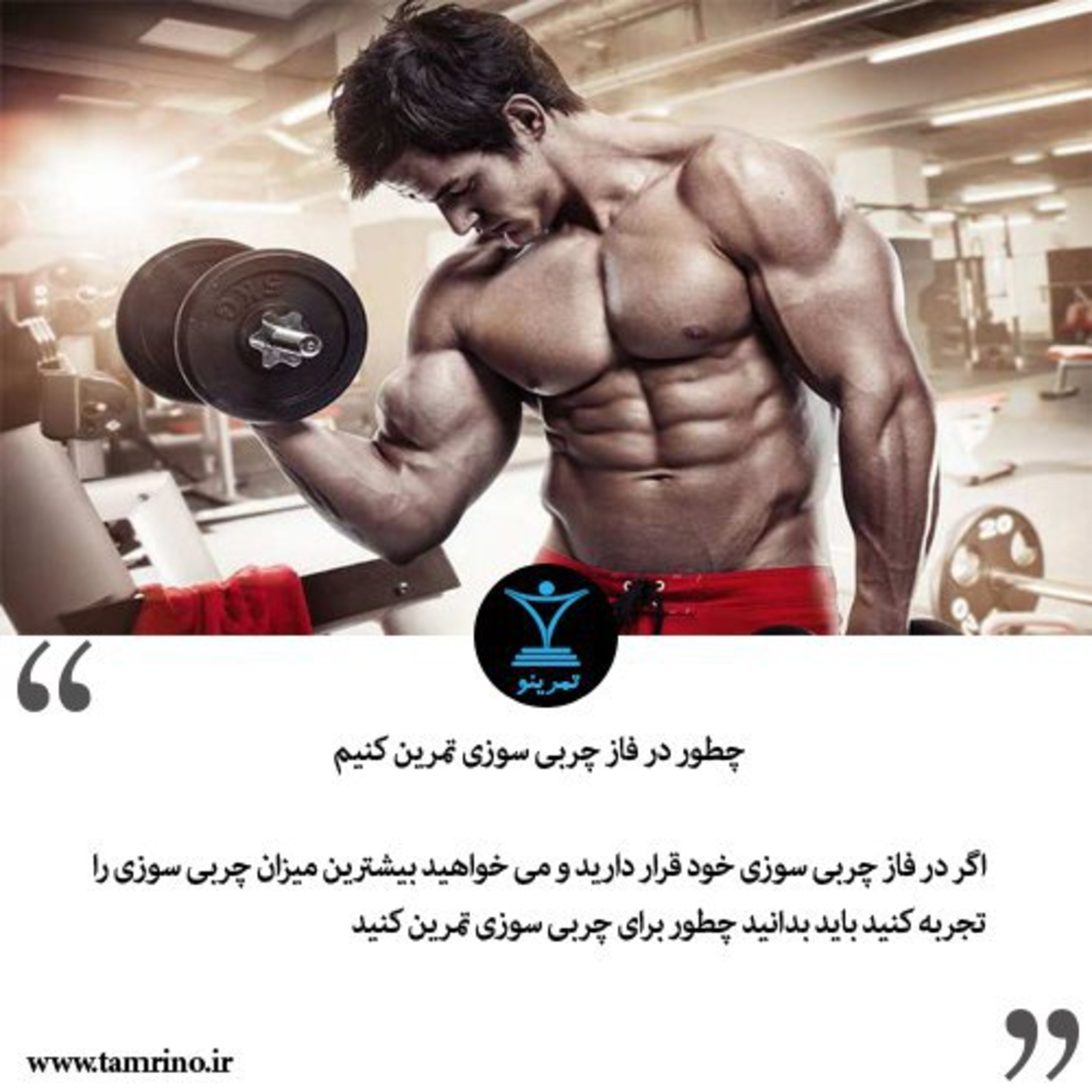 چطور در فاز چربی سوزی تمرین کنیم؟ (هوش مصنوعی) episode artwork