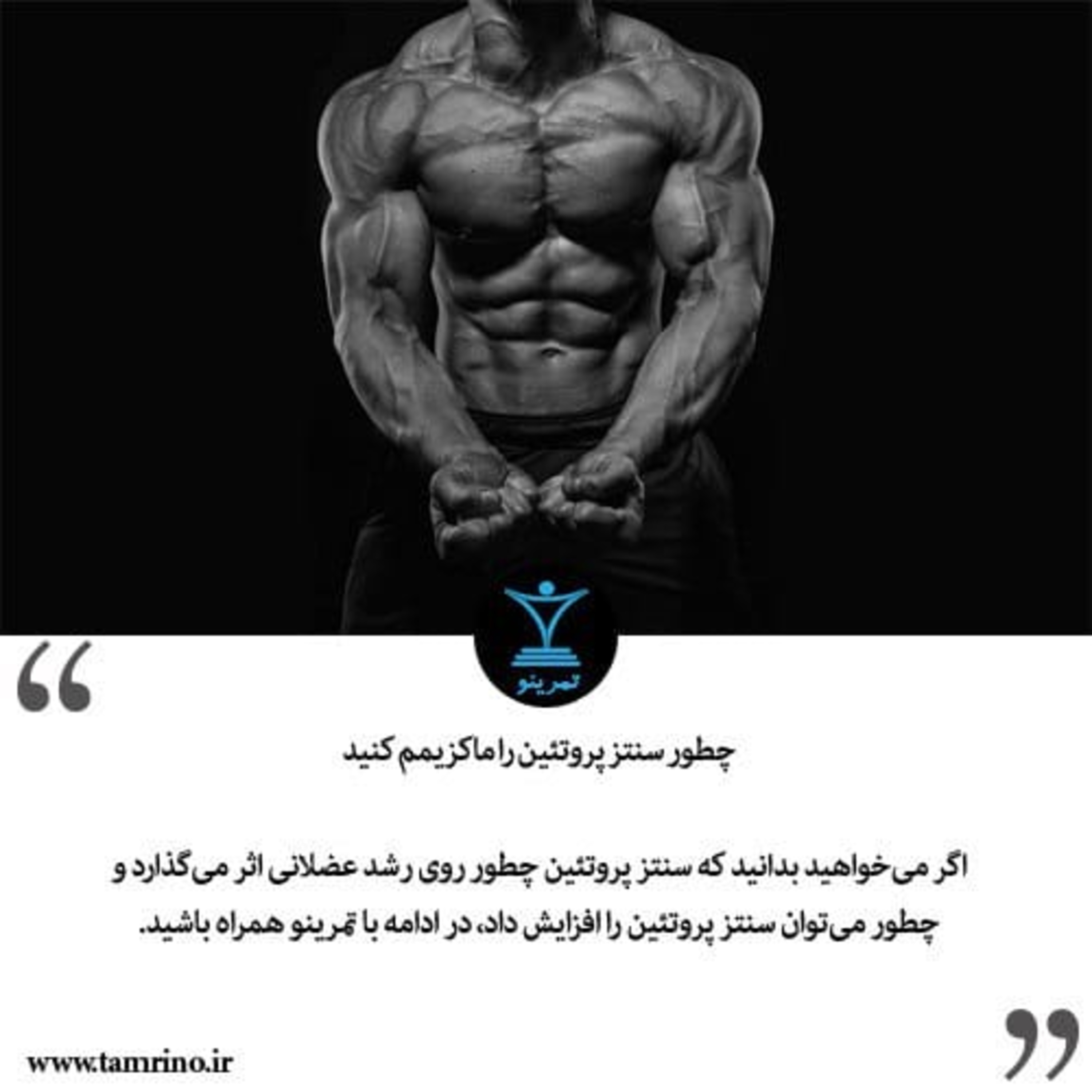 راهنمای کاربردی افزایش سنتز پروتئین (هوش مصنوعی) راهنمای کاربردی افزایش سنتز پروتئین (هوش مصنوعی)