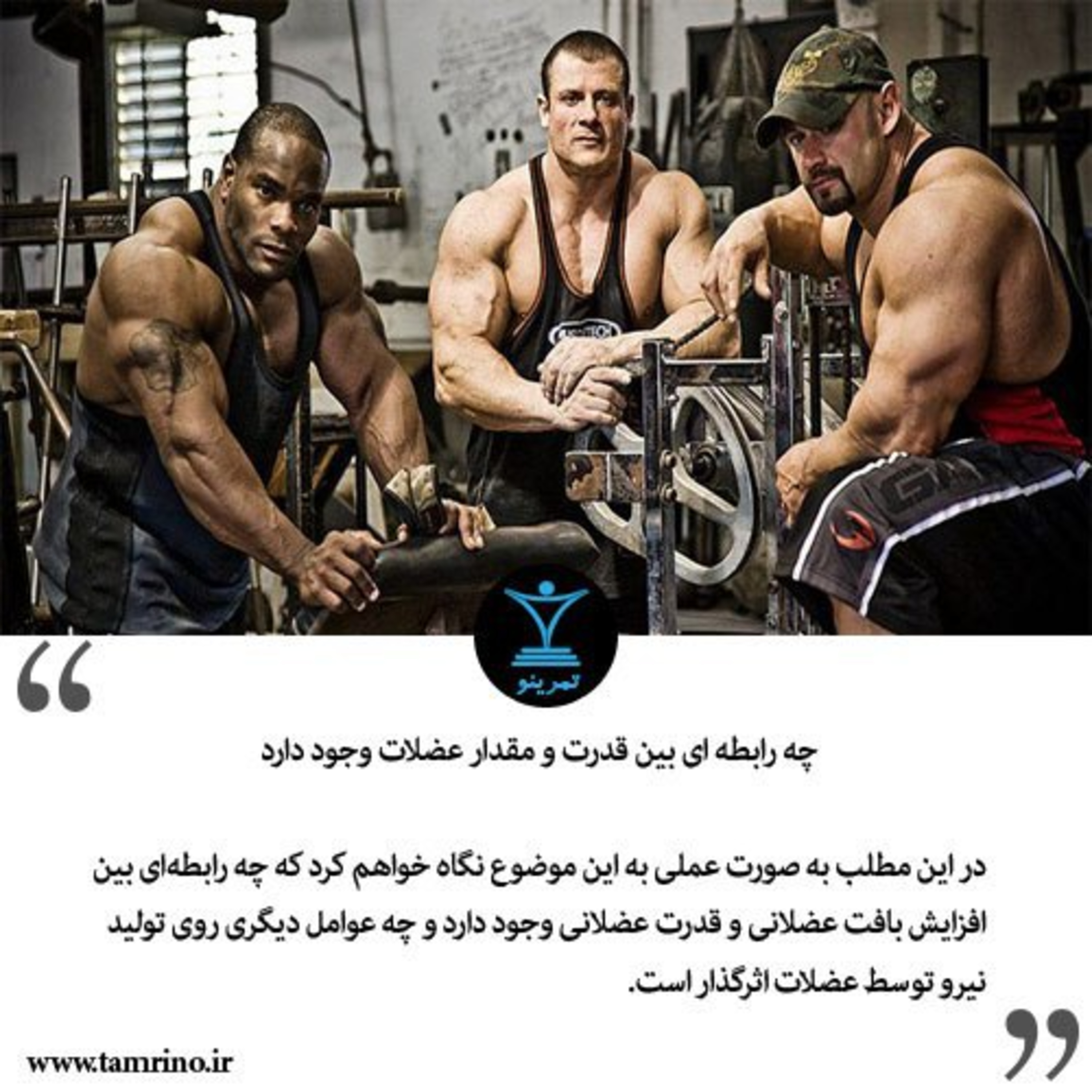 چرا بعضی ها قدرت عضلانی بیشتری دارند؟ (هوش مصنوعی) episode artwork