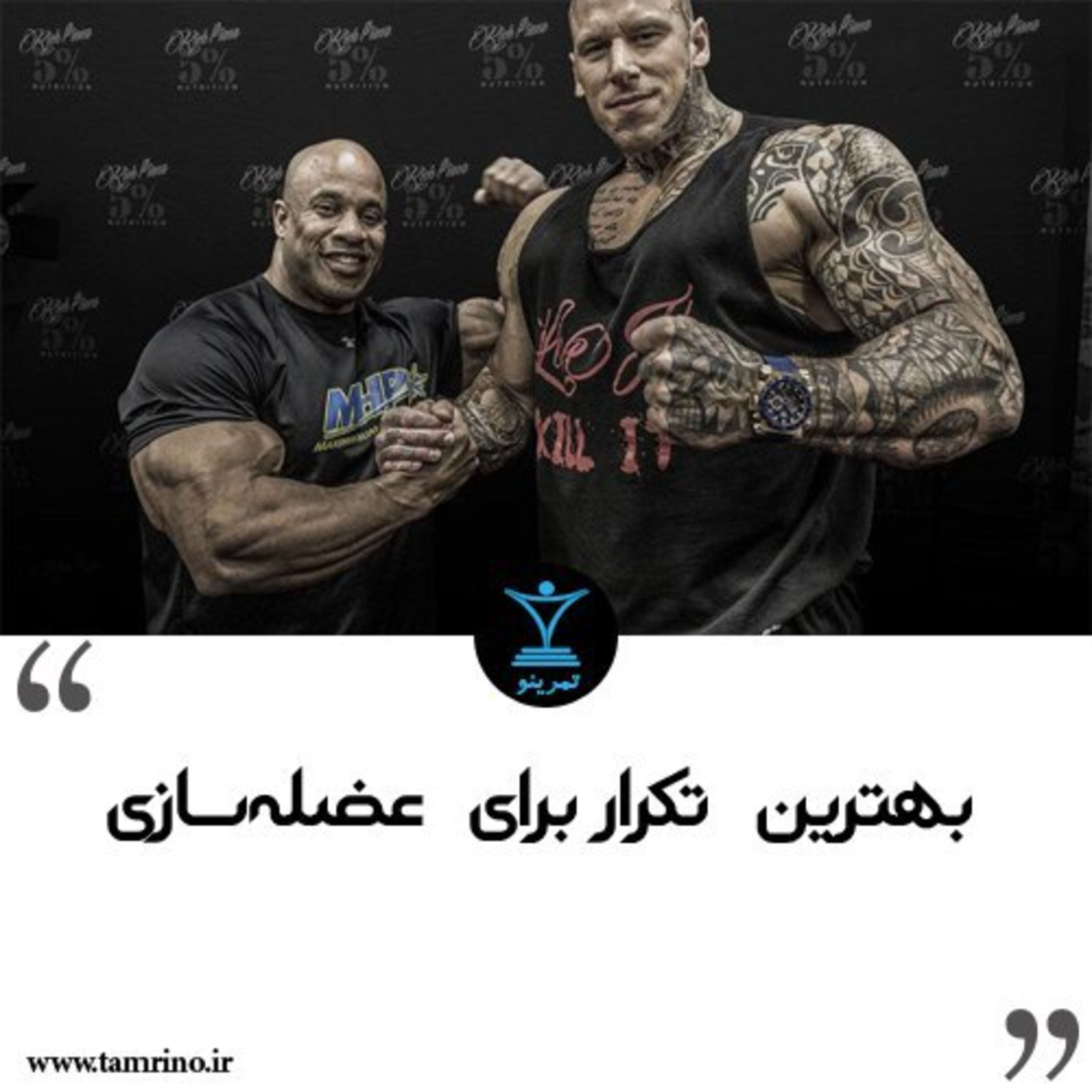 بهترین تکرار برای عضله سازی (هوش مصنوعی) episode artwork
