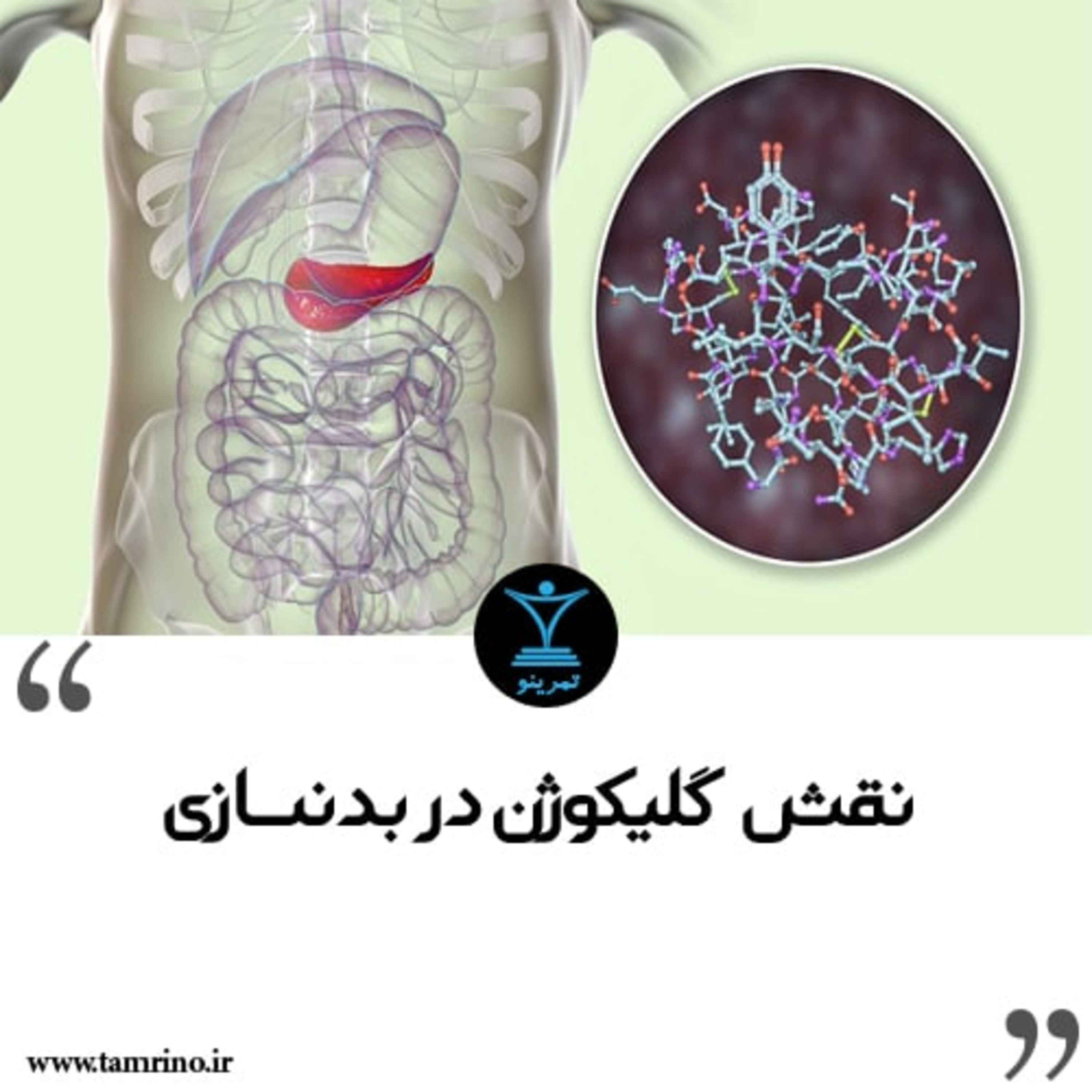 نقش گلیکوژن در بدنسازی (هوش مصنوعی)