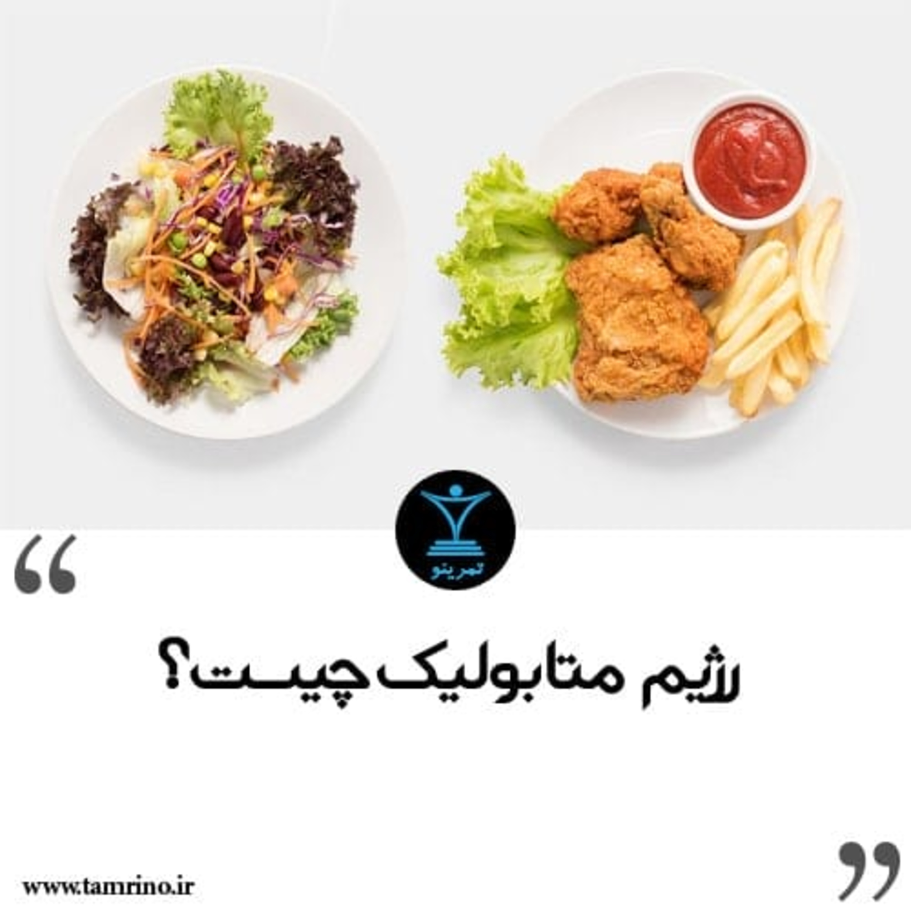 رژیم متابولیک چیست؟ (هوش مصنوعی)