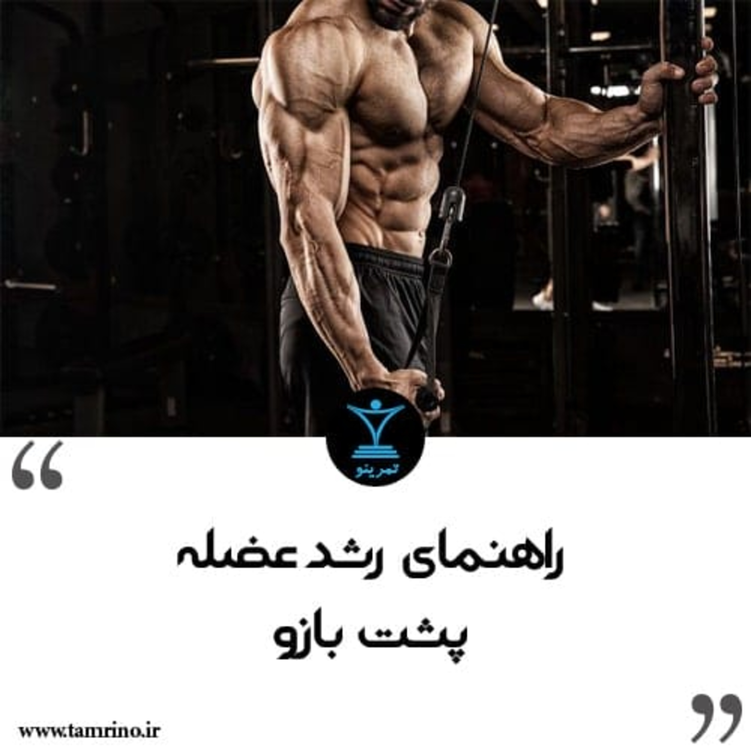 راهنمای رشد عضله پشت بازو (هوش مصنوعی)