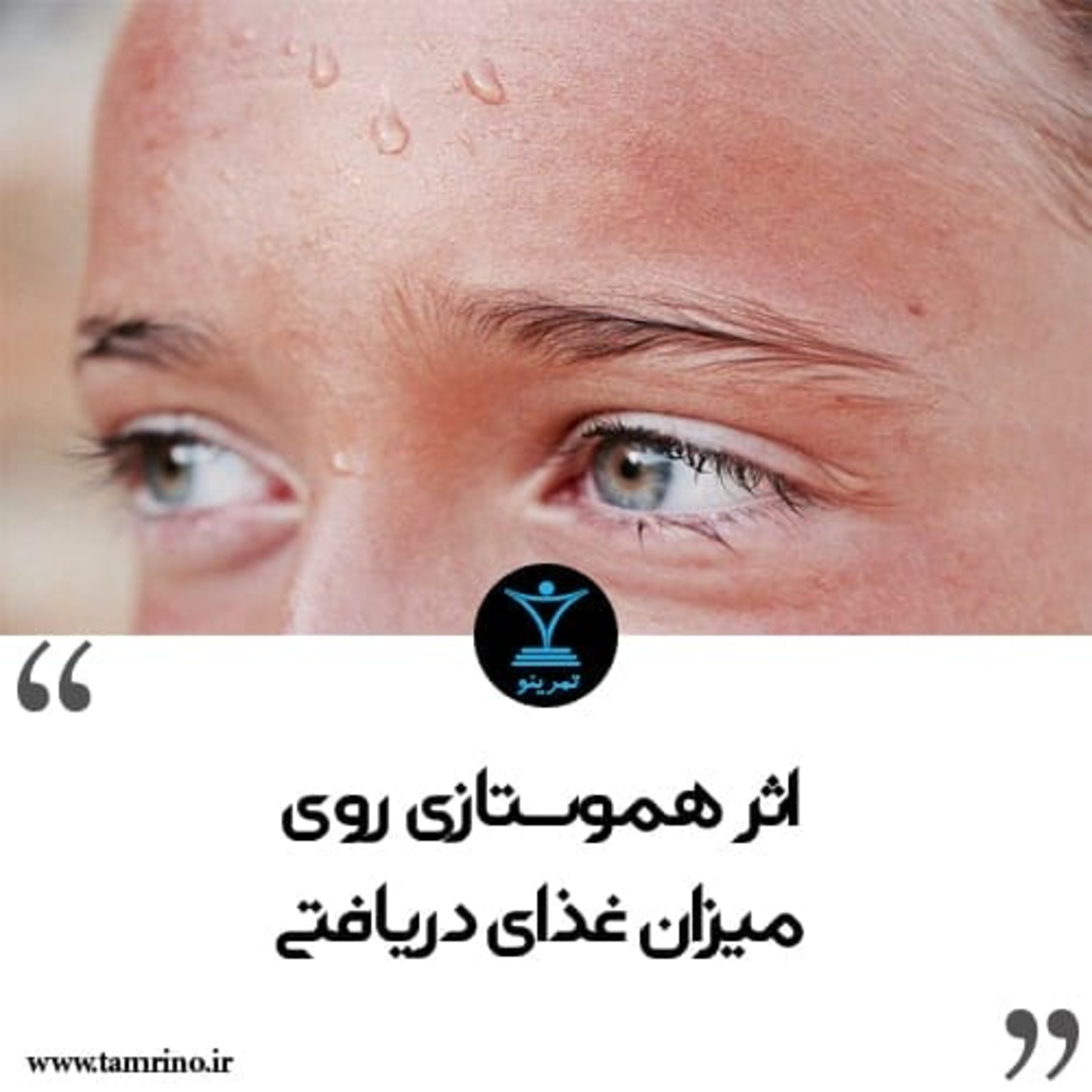 اثر هموستازی روی میزان غذای دریافتی (هوش مصنوعی) اثر هموستازی روی میزان غذای دریافتی (هوش مصنوعی)