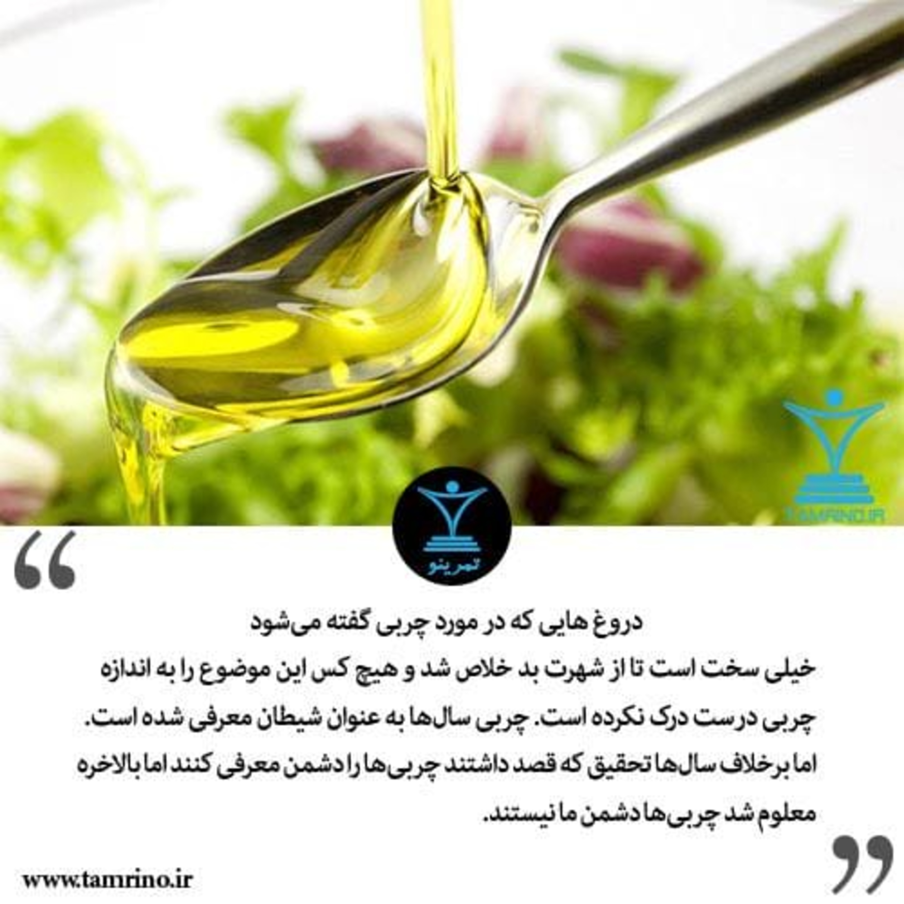 با چربی به جنگ چربی برویم (هوش مصنوعی)