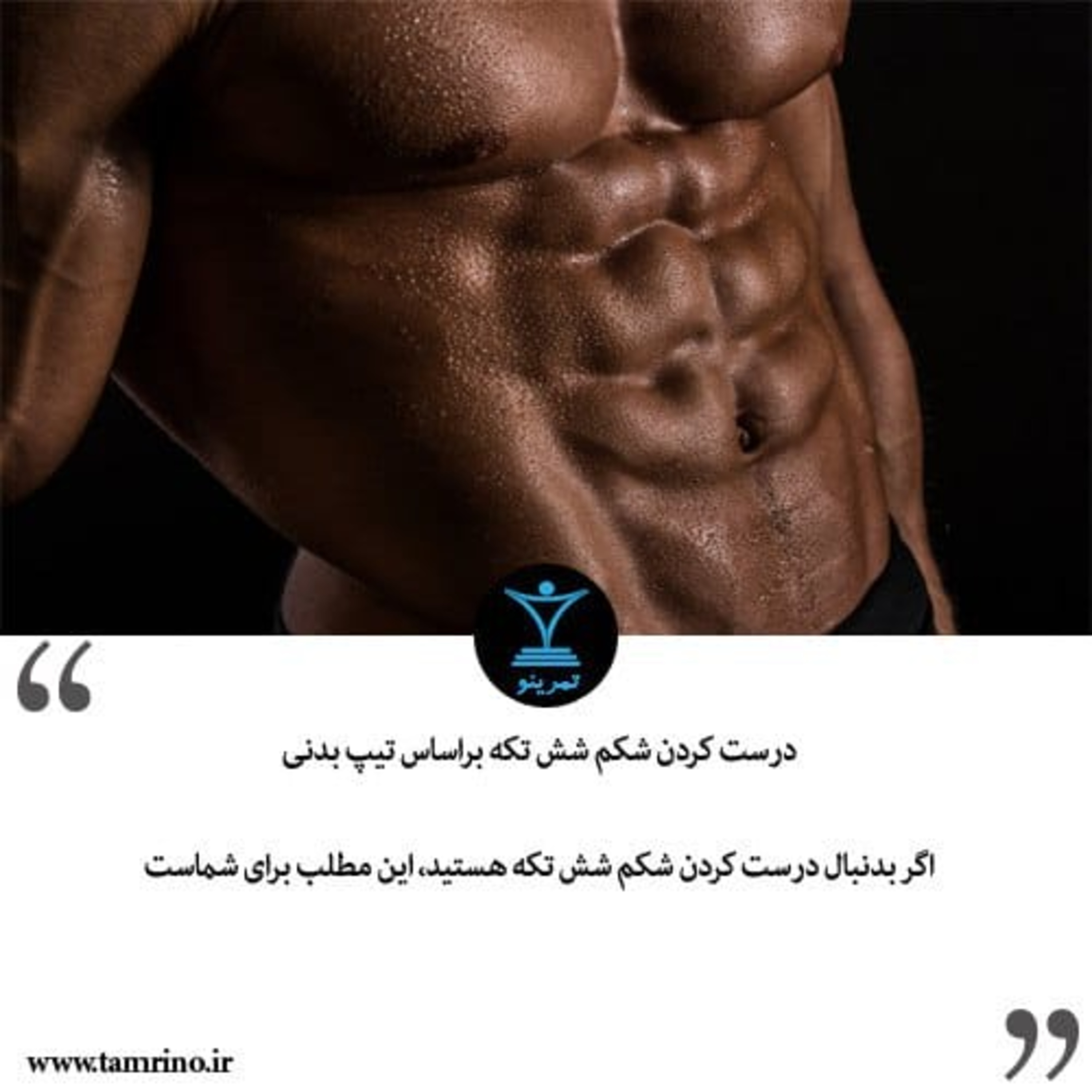 درست کردن شکم شش تکه براساس تیپ بدنی (نقشه قدم به قدم) (هوش مصنوعی)