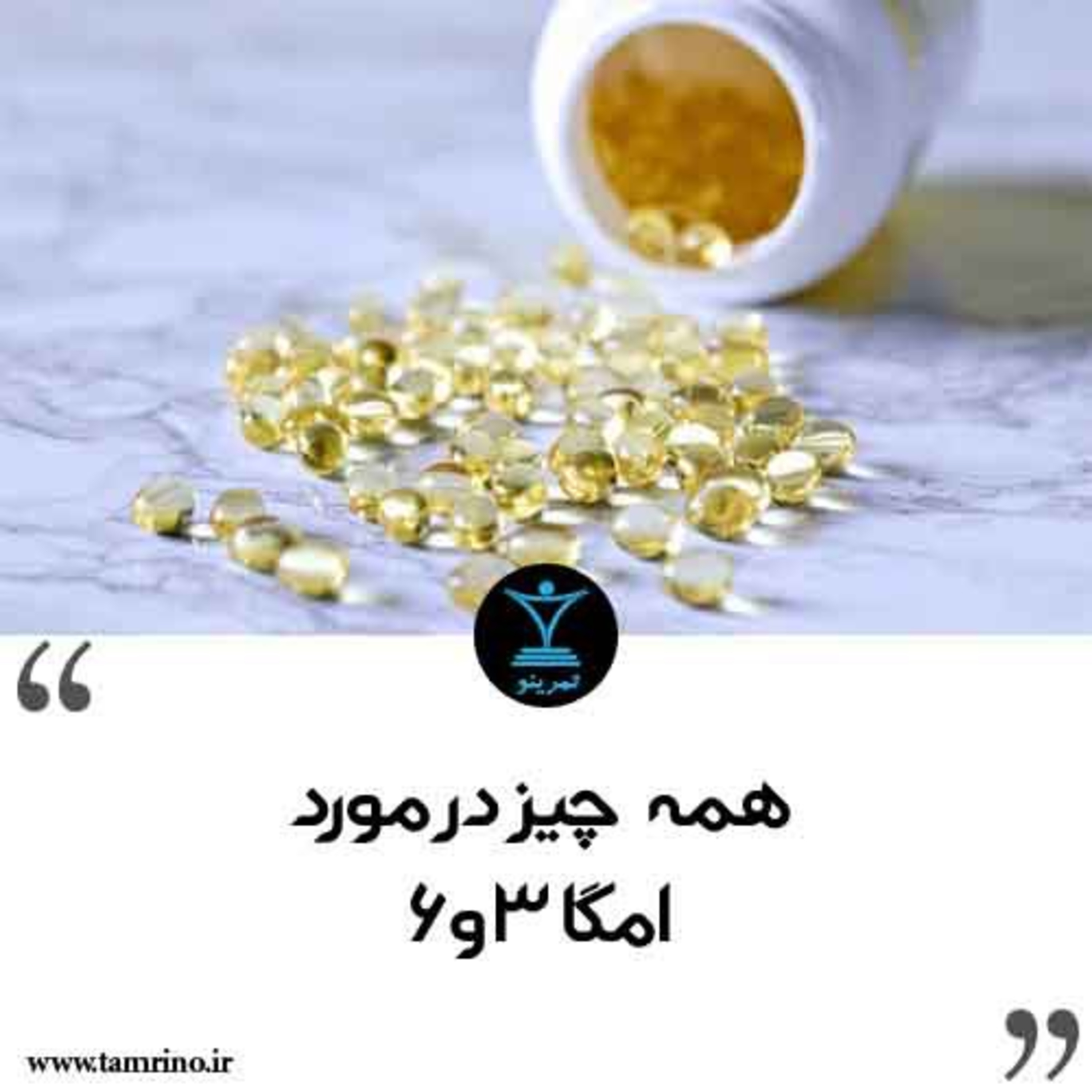 همه چیز در مورد امگا ۳ و ۶ (هوش مصنوعی)