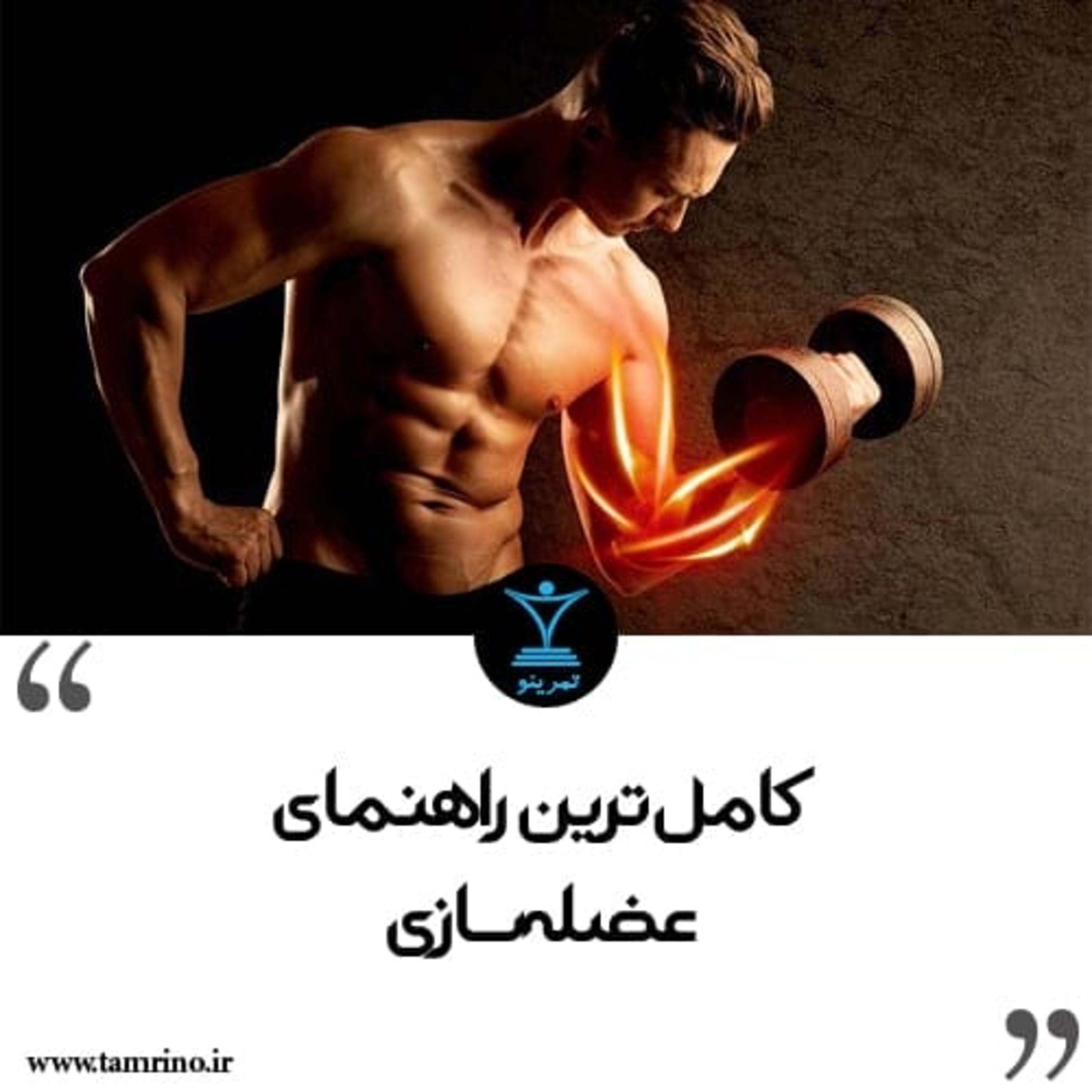 راهنمای جامع عضله سازی (هوش مصنوعی)