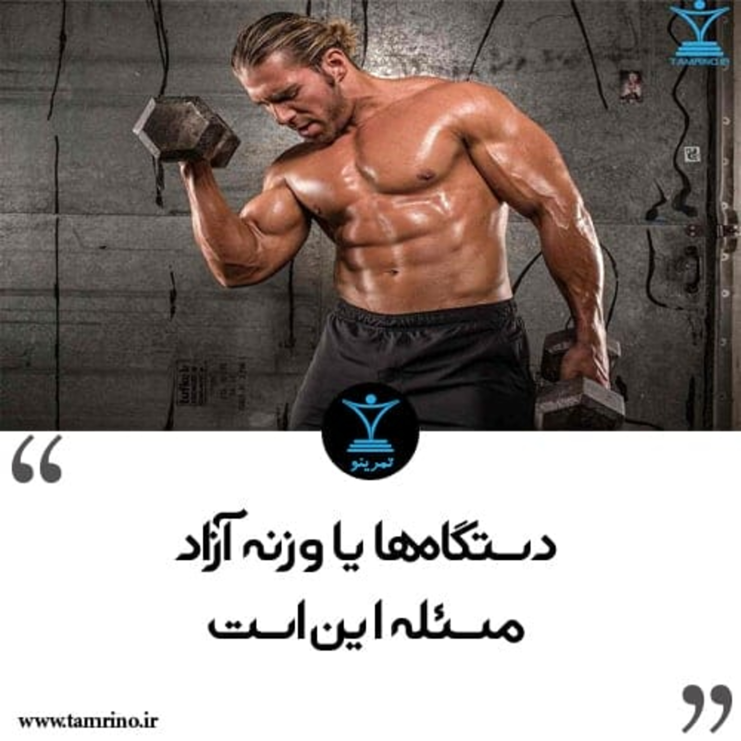 دستگاه یا وزنه آزاد مسئله این است (هوش مصنوعی)