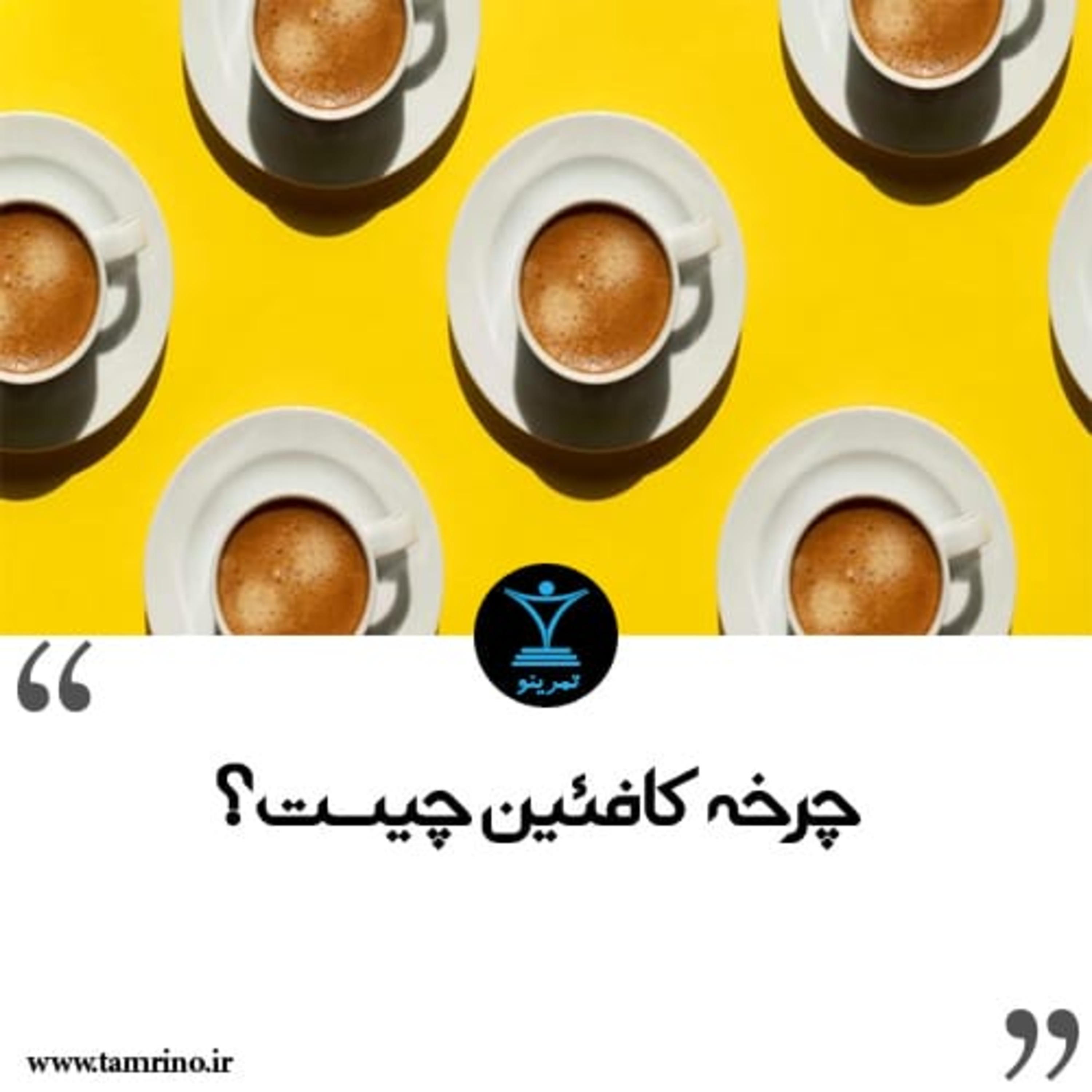 چرخه کافئین چیست؟ (هوش مصنوعی) episode artwork