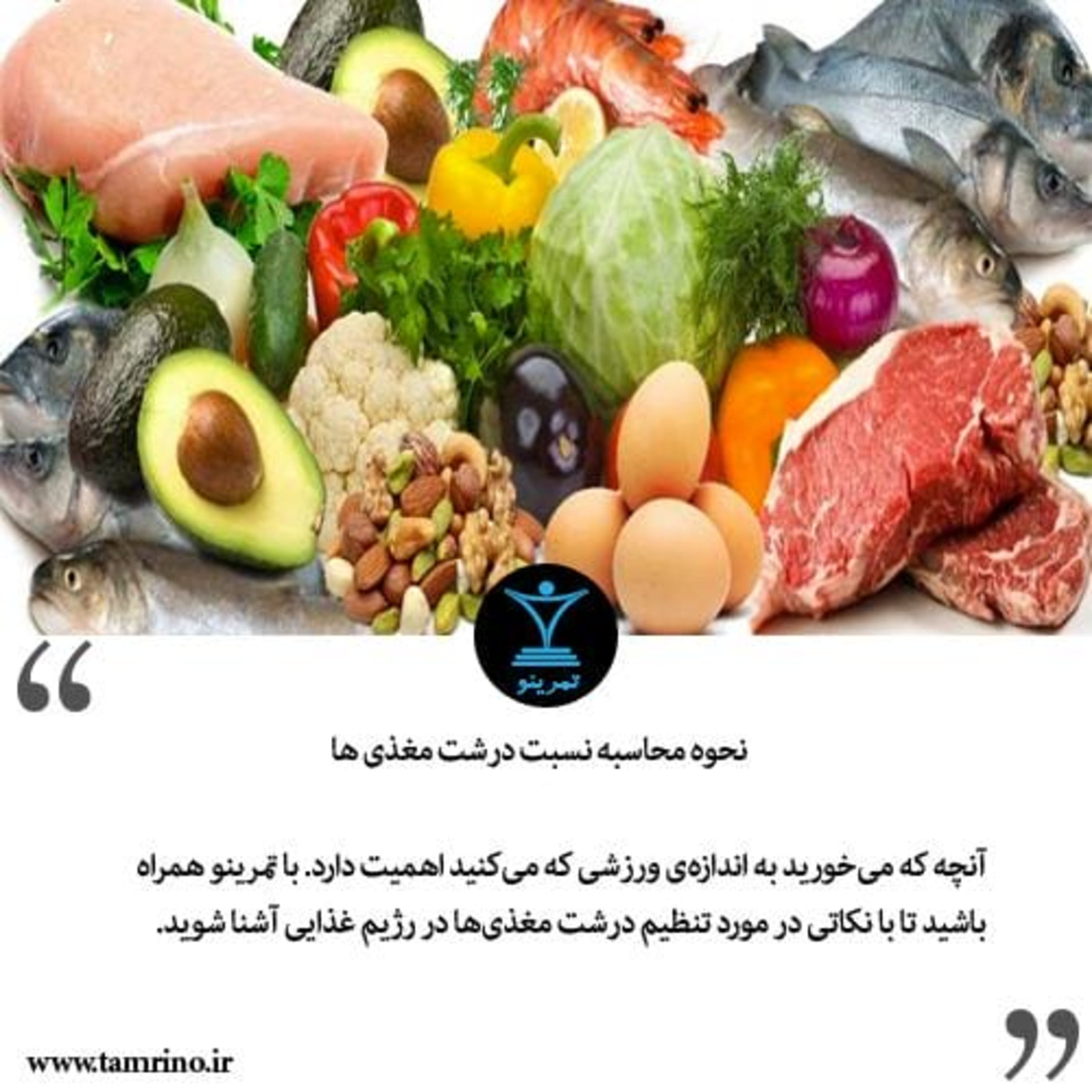 نحوه محاسبه نسبت درشت مغذی ها (هوش مصنوعی) نحوه محاسبه نسبت درشت مغذی ها (هوش مصنوعی)