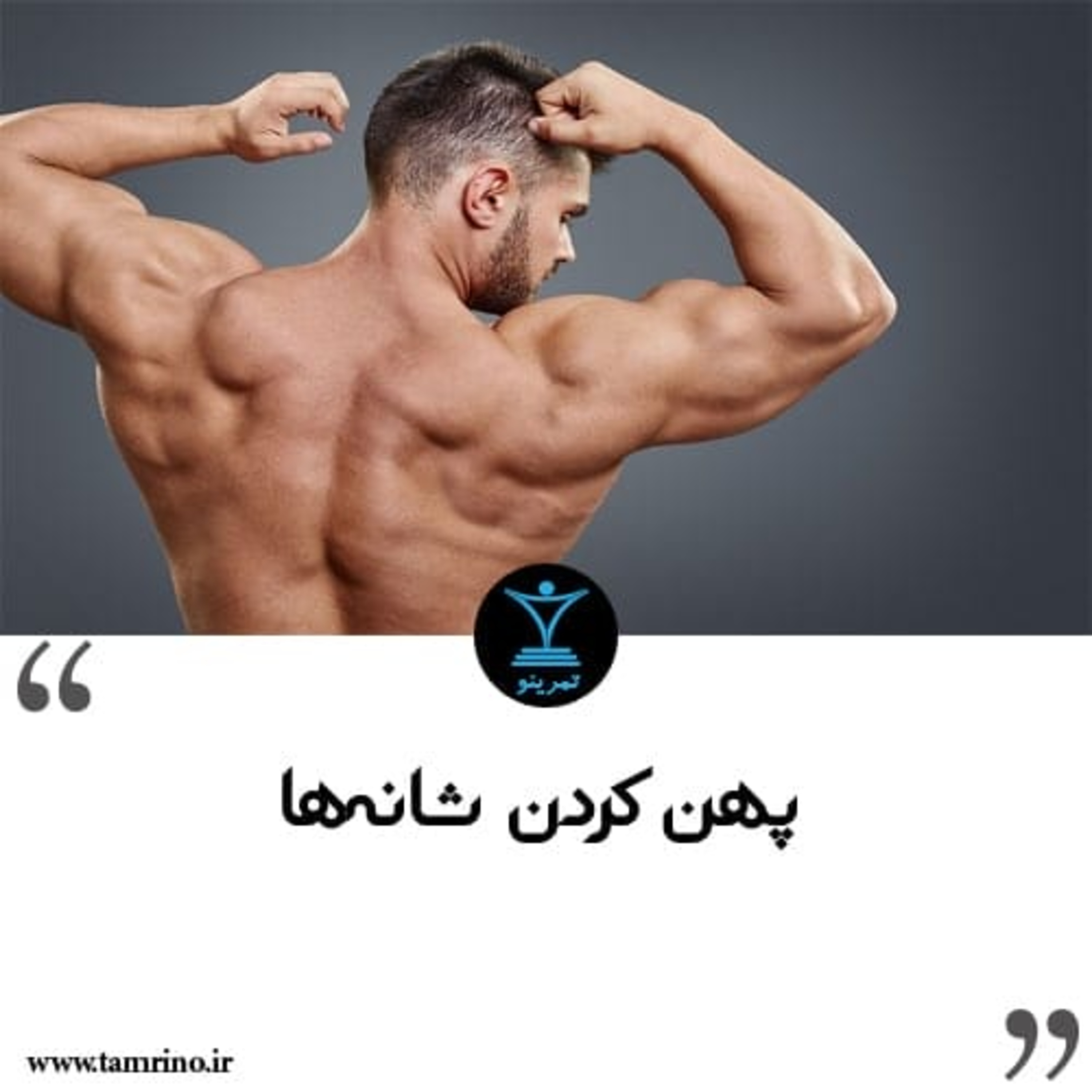 راهنمای پهن کردن شانه ها (هوش مصنوعی) episode artwork