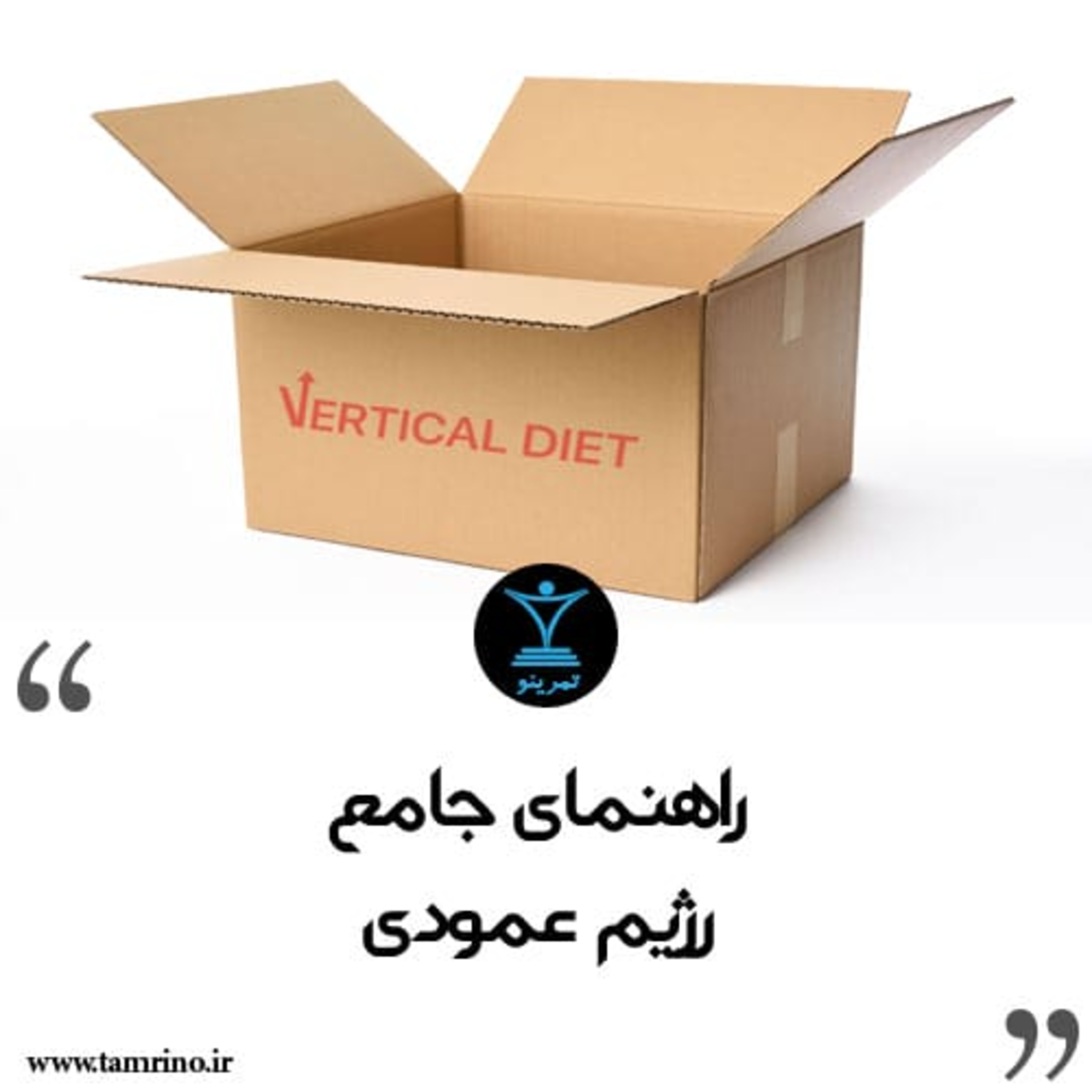 راهنمای جامع رژیم عمودی (هوش مصنوعی) episode artwork
