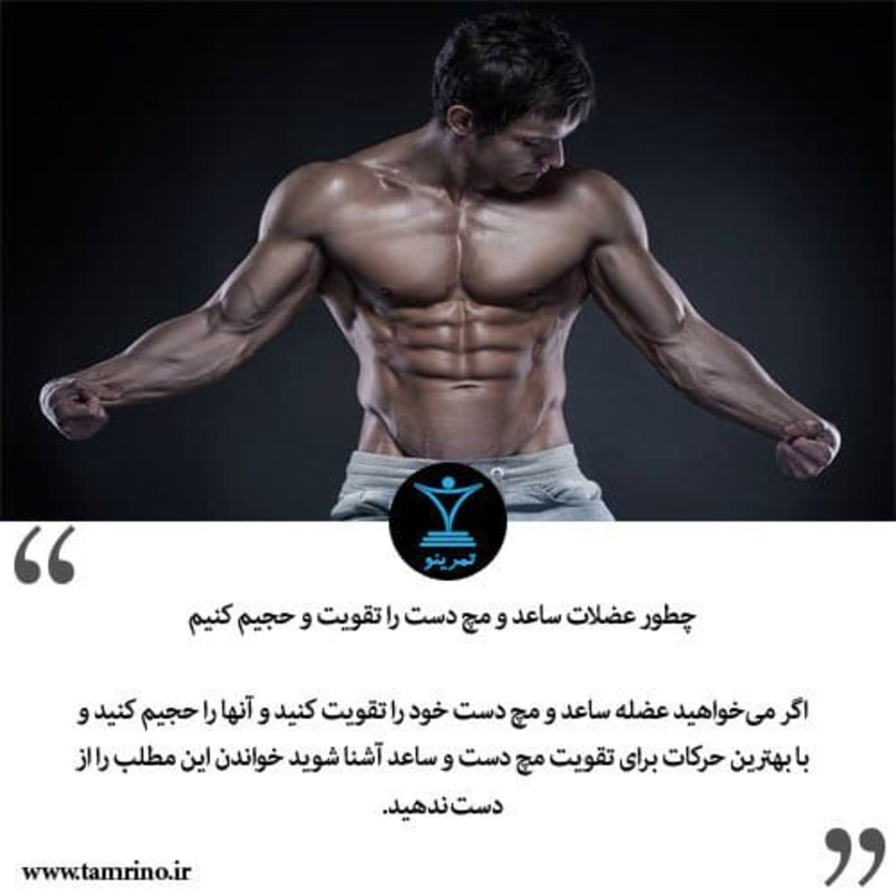 چطور عضلات ساعد و مچ دست را تقویت و حجیم کنیم؟ (نسخه هوش مصنوعی) episode artwork