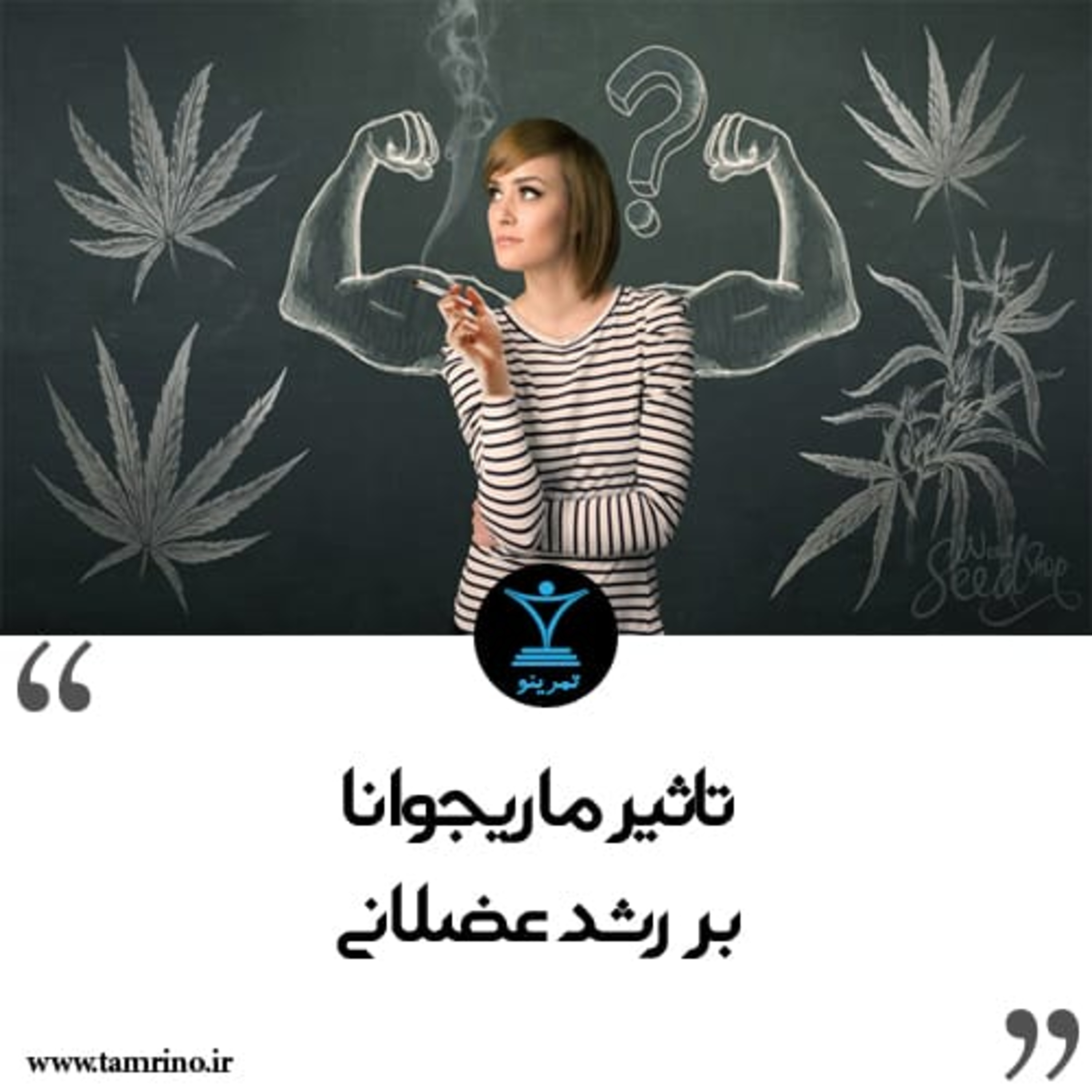 تاثیر ماریجوانا بر رشد عضلانی (هوش مصنوعی) episode artwork