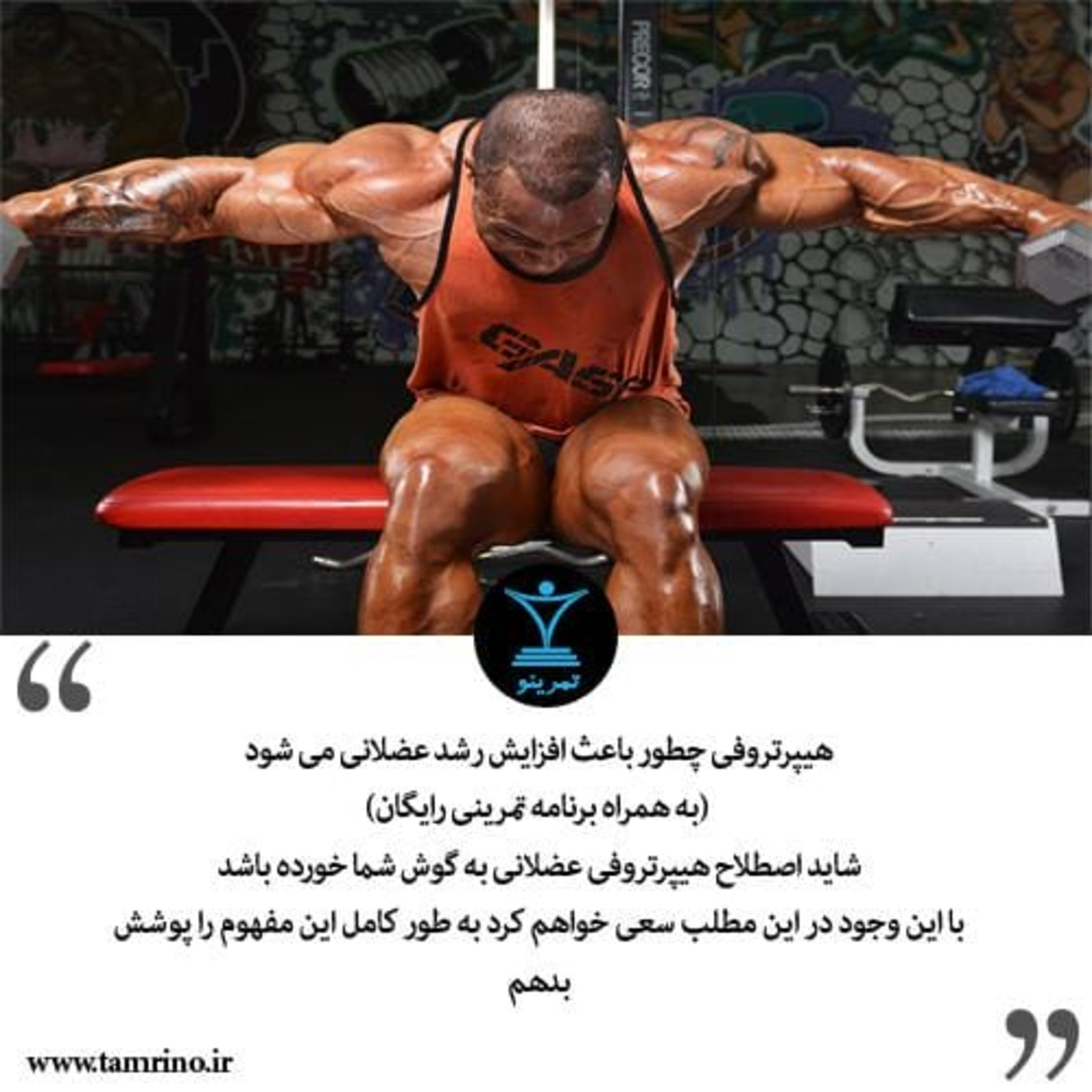 راهنمای جامع هیپرتروفی عضلانی (هوش مصنوعی) episode artwork