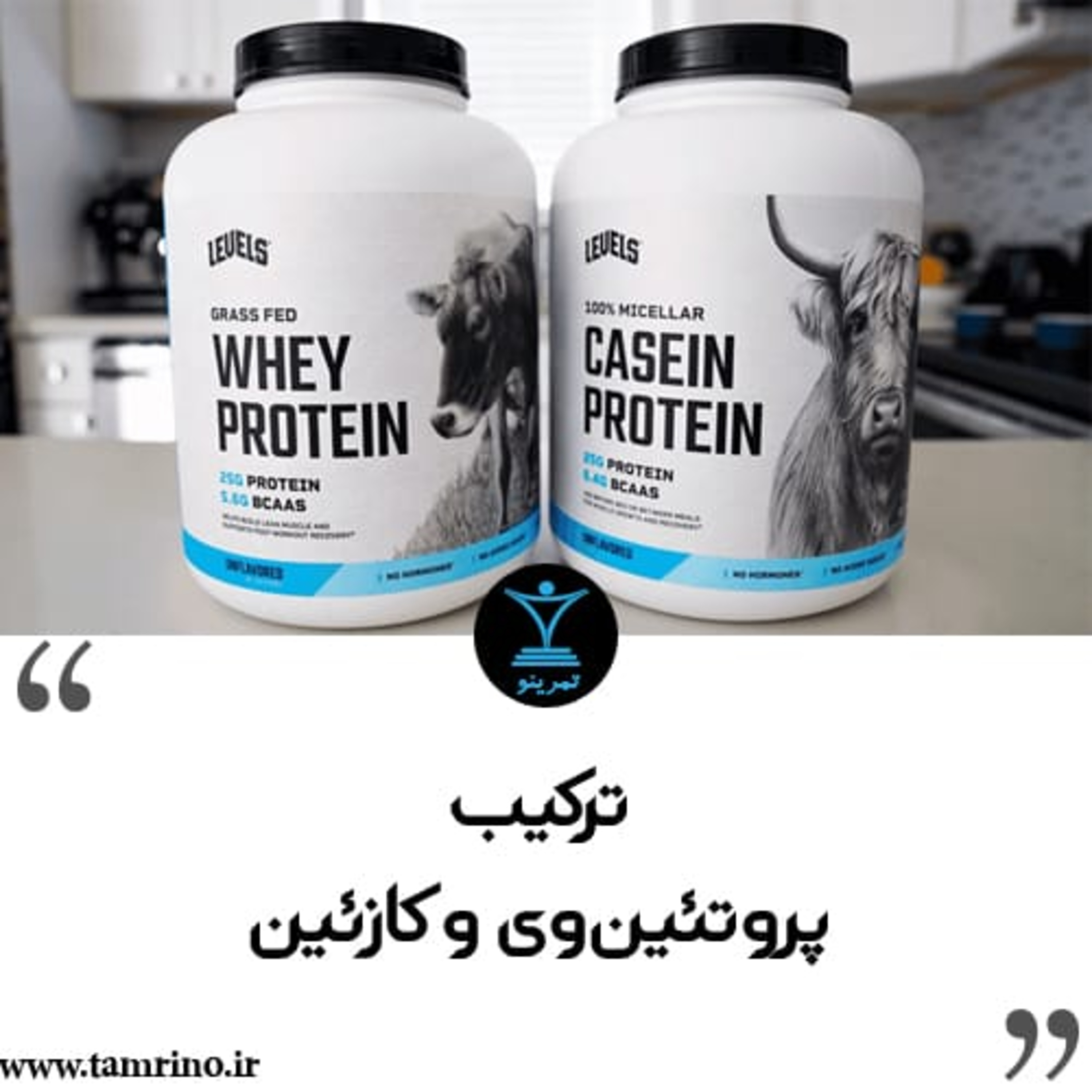 آیا می‌توانید پروتئین وی و کازئین را با هم مخلوط کنید؟ (نسخه هوش مصنوعی) episode artwork