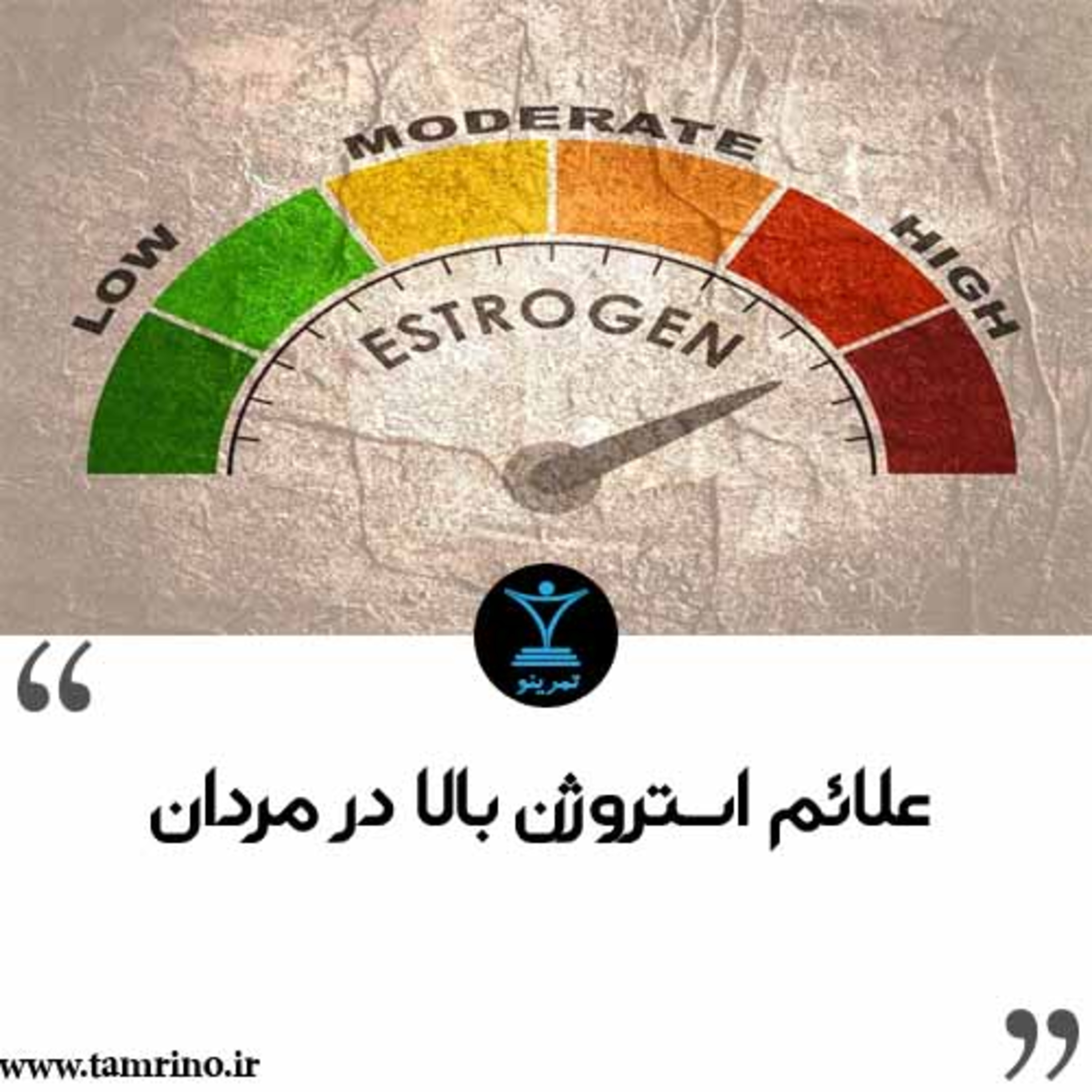 علائم استروژن بالا در مردان (نسخه هوش مصنوعی) episode artwork