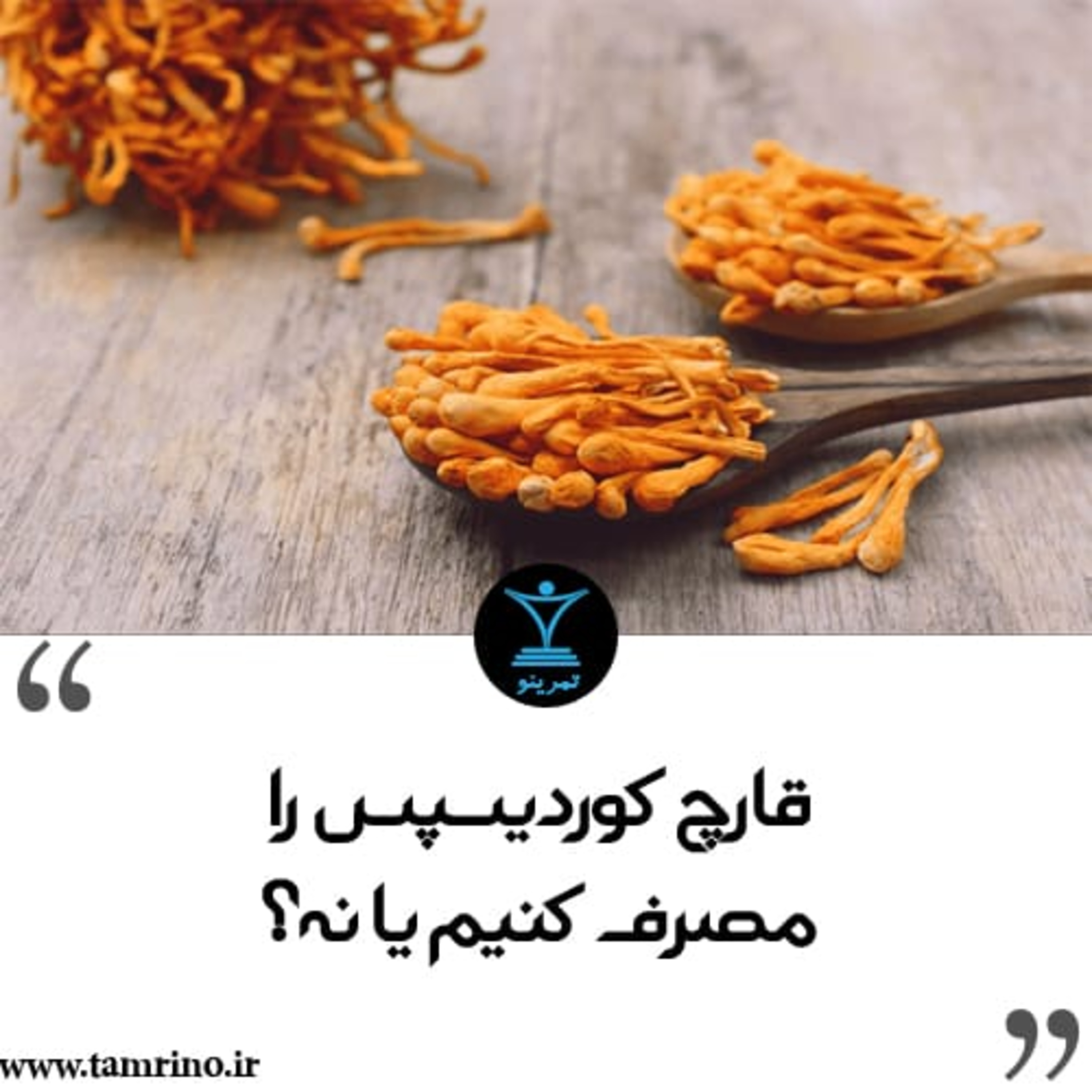 قارچ کوردیسپس را مصرف کنیم یا نه؟ (نسخه هوش مصنوعی) episode artwork