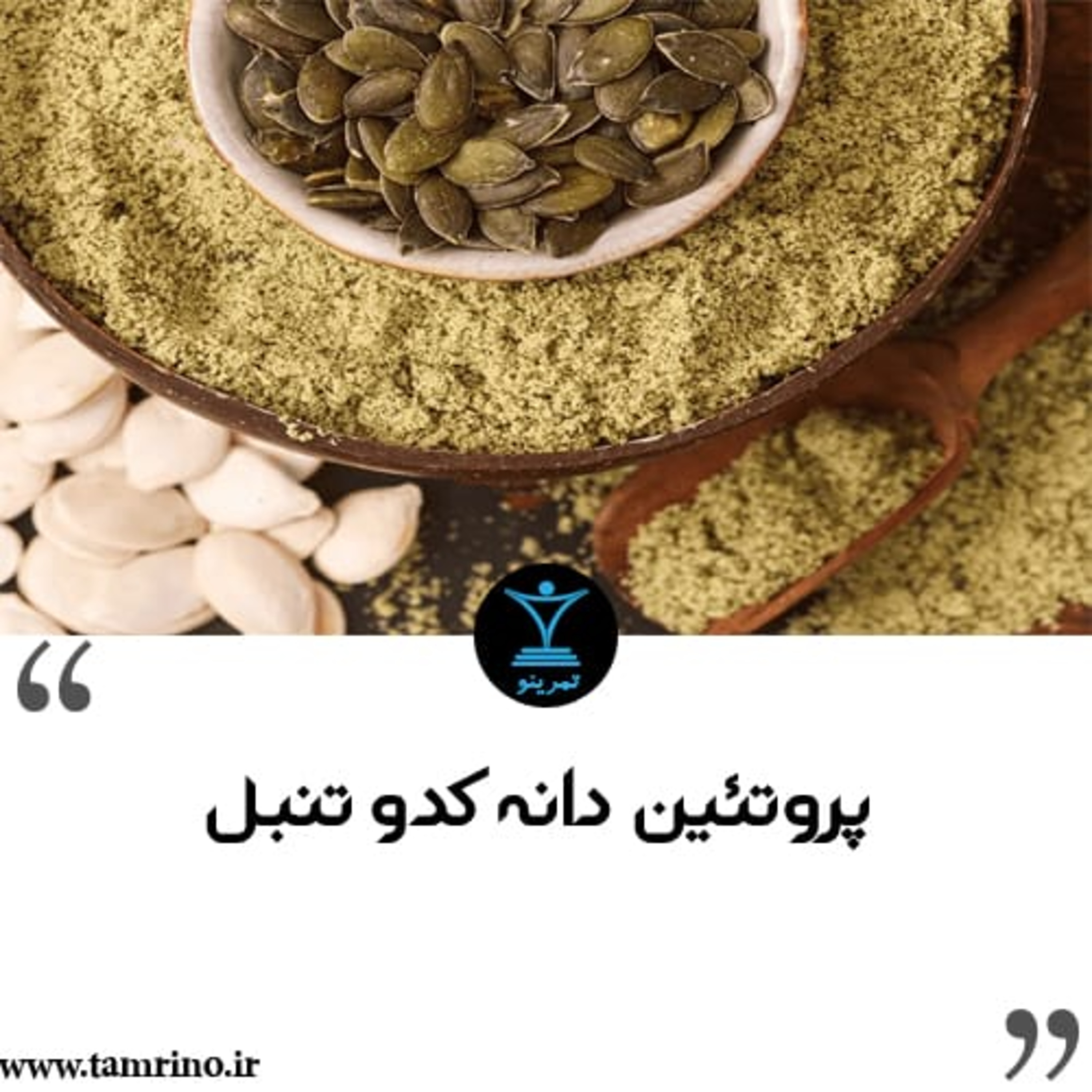 پروتئین دانه کدو تنبل را مصرف کنیم یا نه؟ (نسخه هوش مصنوعی) episode artwork