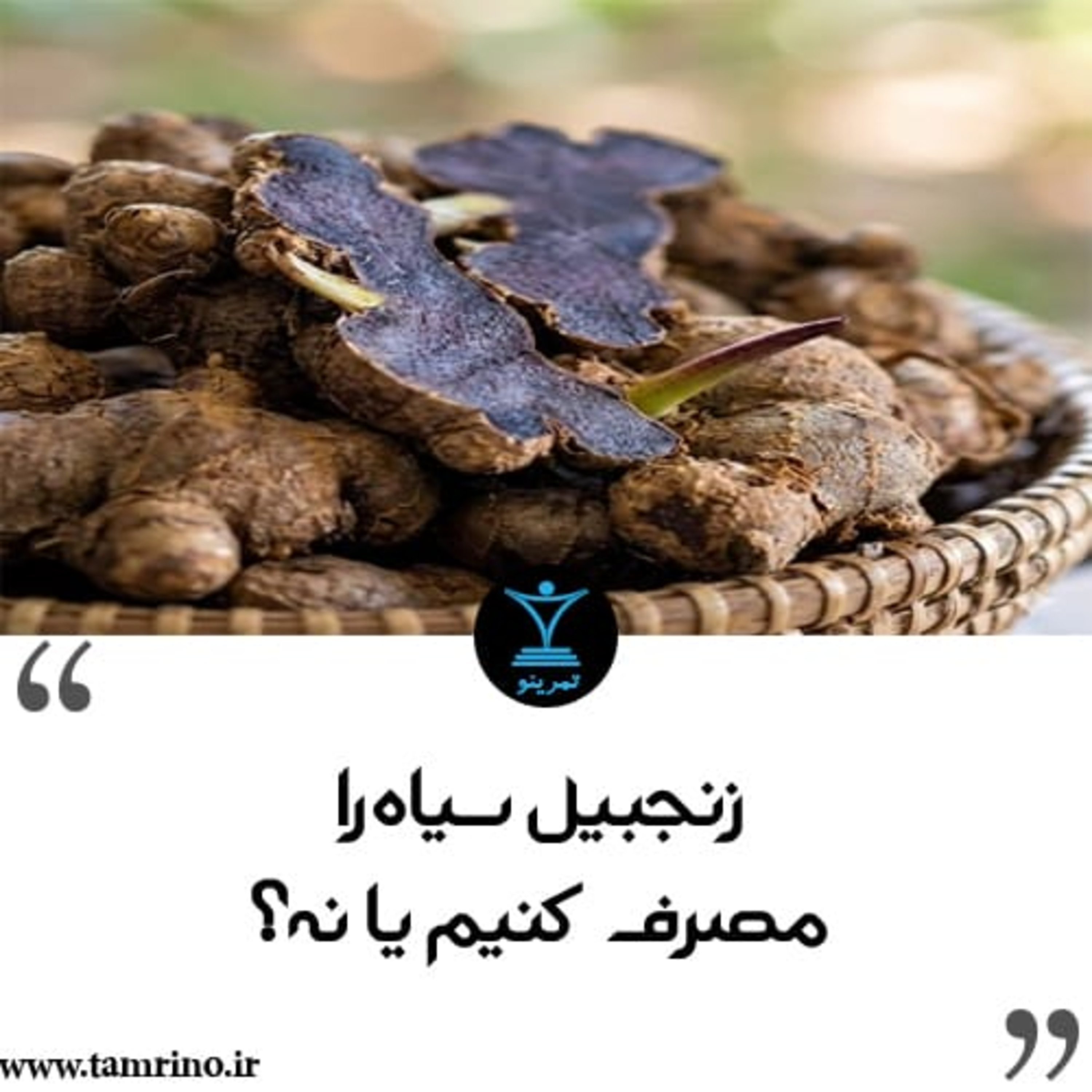 زنجبیل سیاه را مصرف کنیم یا نه؟ (نسخه هوش مصنوعی) episode artwork