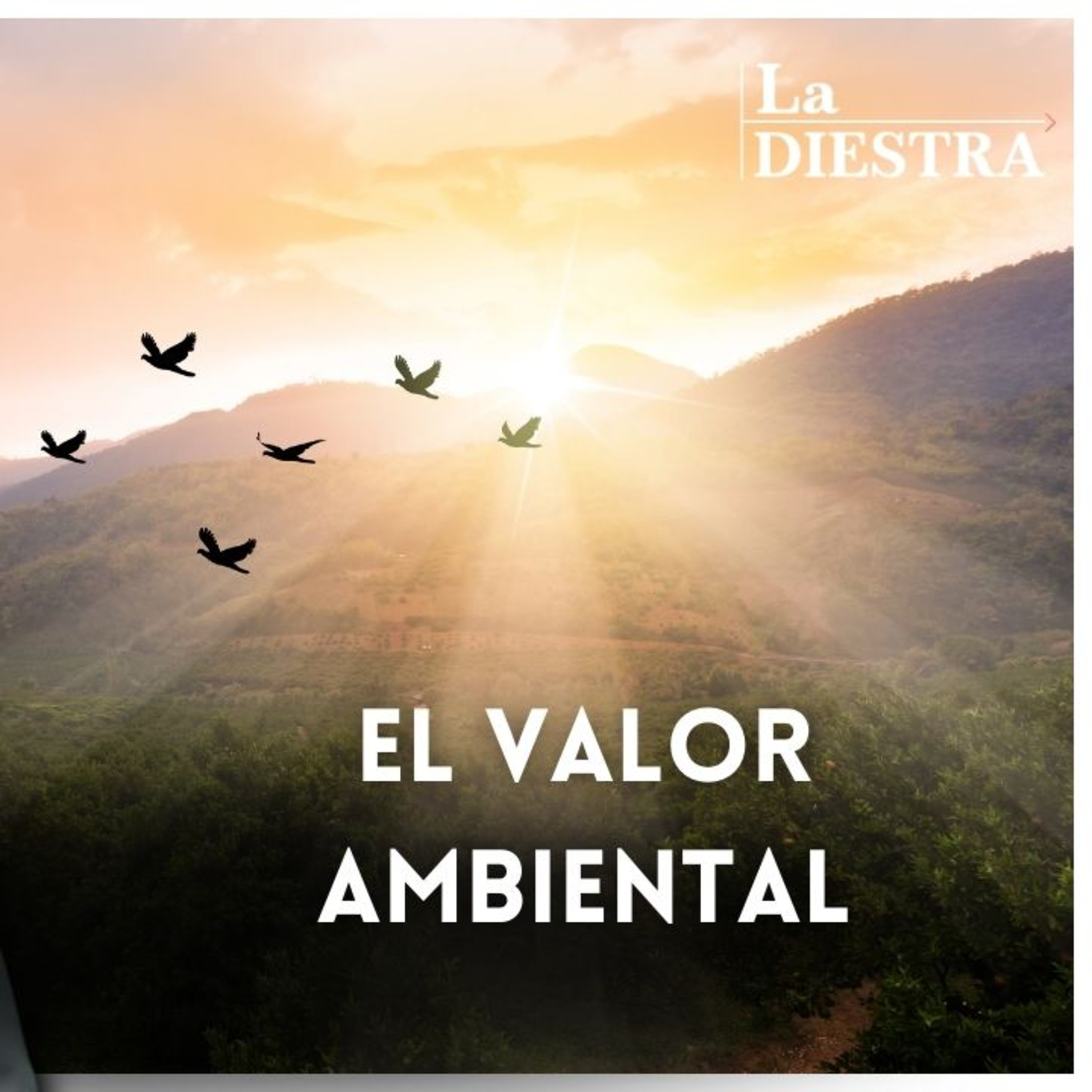 Los Ambientalistas Radicales Son Anti Humano episode artwork