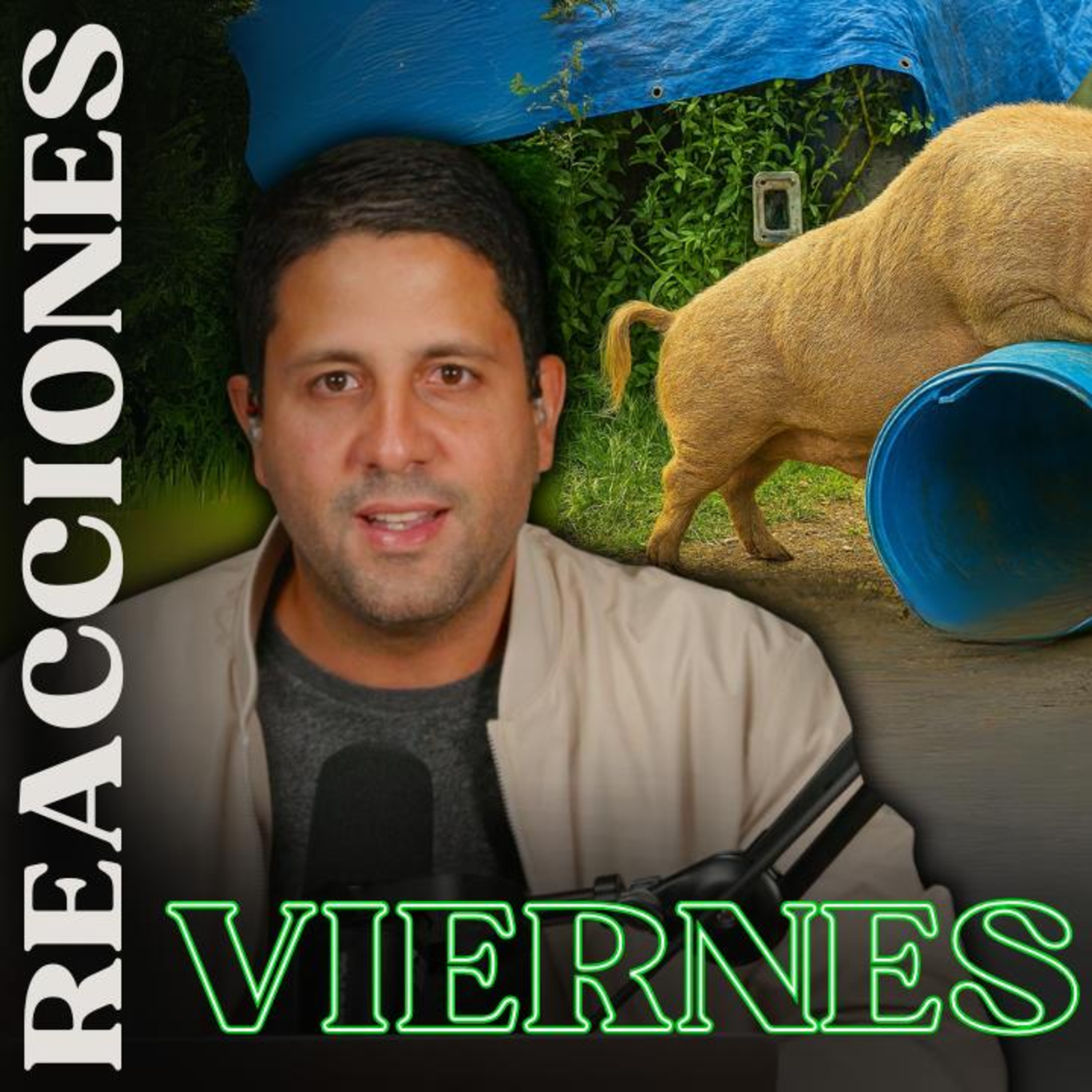 ¡Ataca Cerdo Salvaje! y Sacrificio de Gongo Salva el Día | Viernes de Reacciones episode artwork