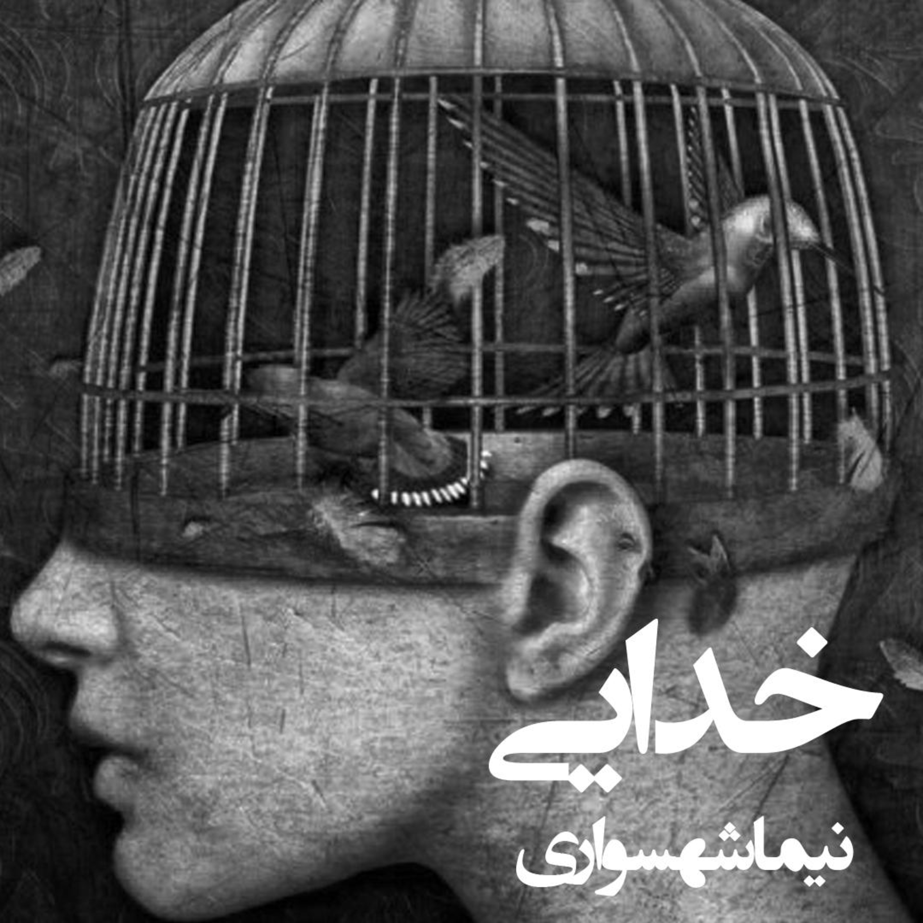 کتاب شعر صوتی رزم‌نامه - شعر خدایی - اثر نیما شهسواری episode artwork