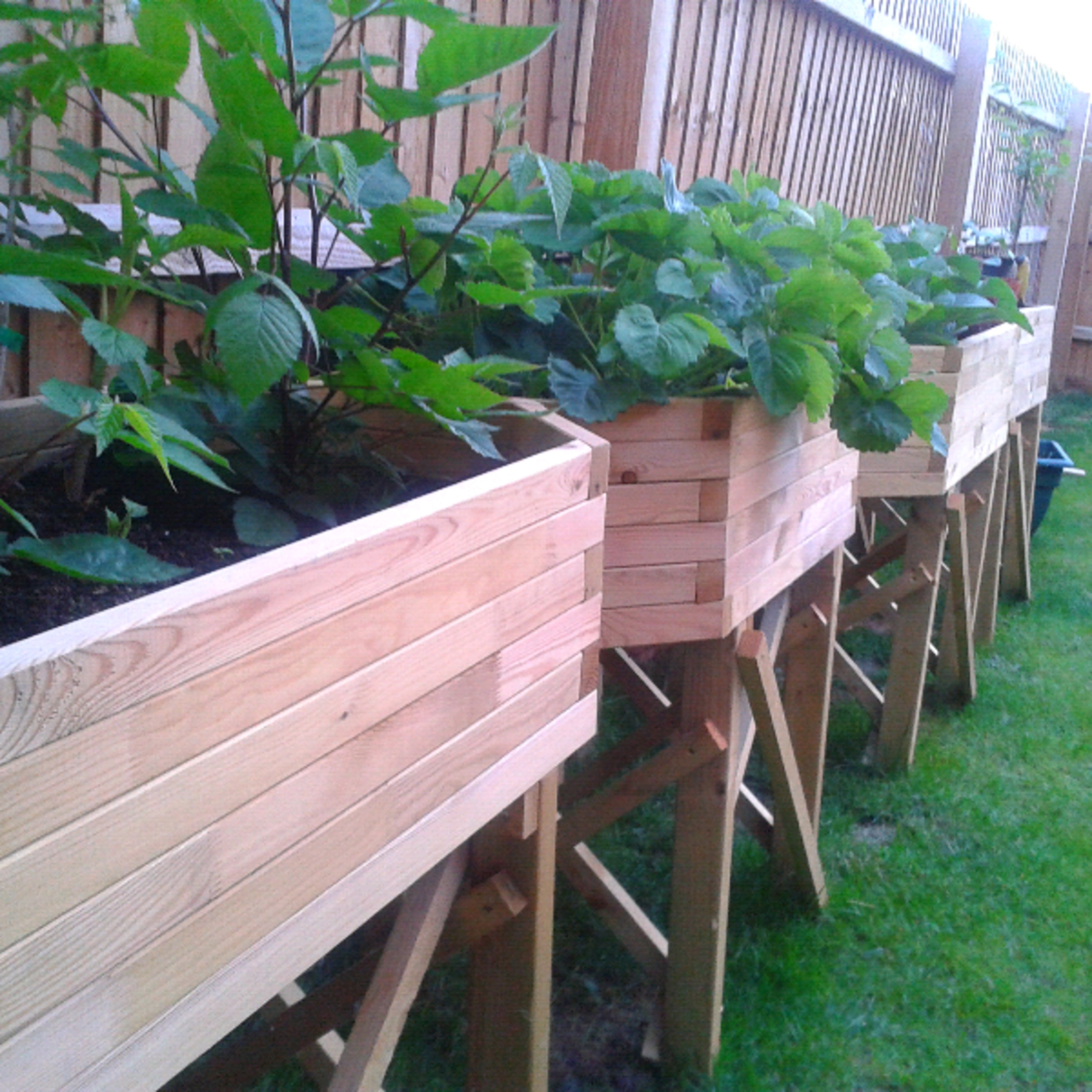 garden tour