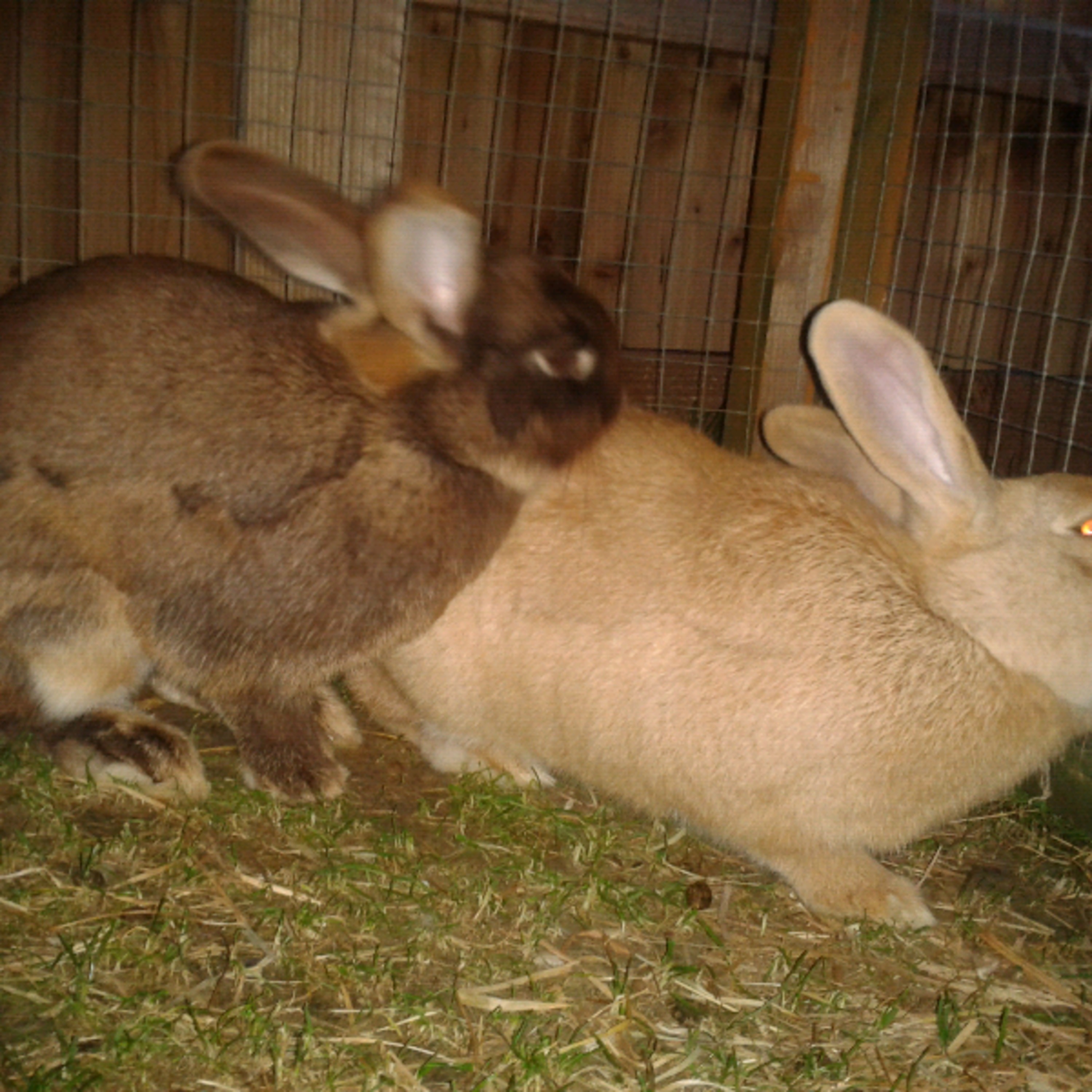 flicker and eden again