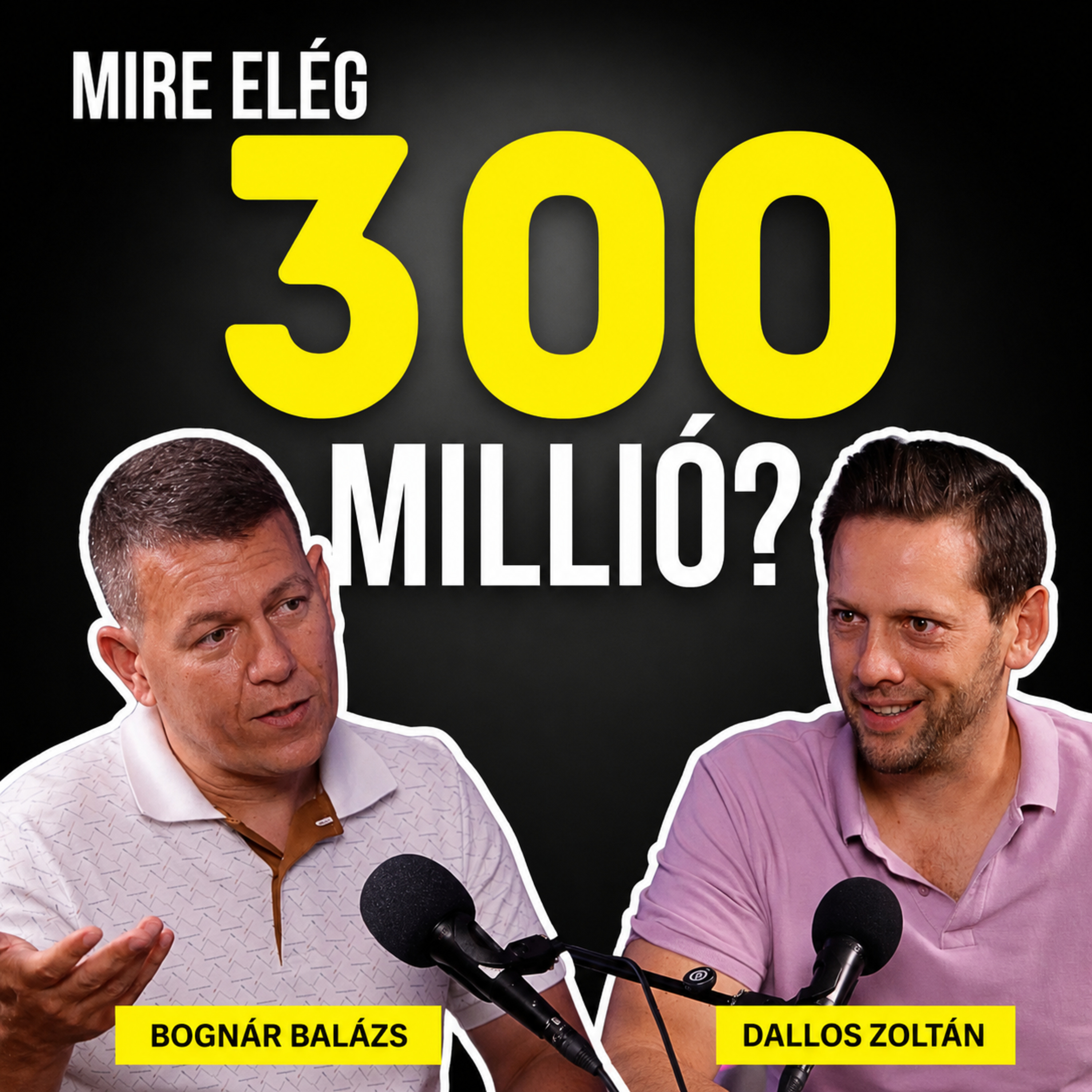 Mennyi pénz kell ma a pénzügyi szabadsághoz? Bognár Balázs válaszol (Fire Hungary) episode artwork