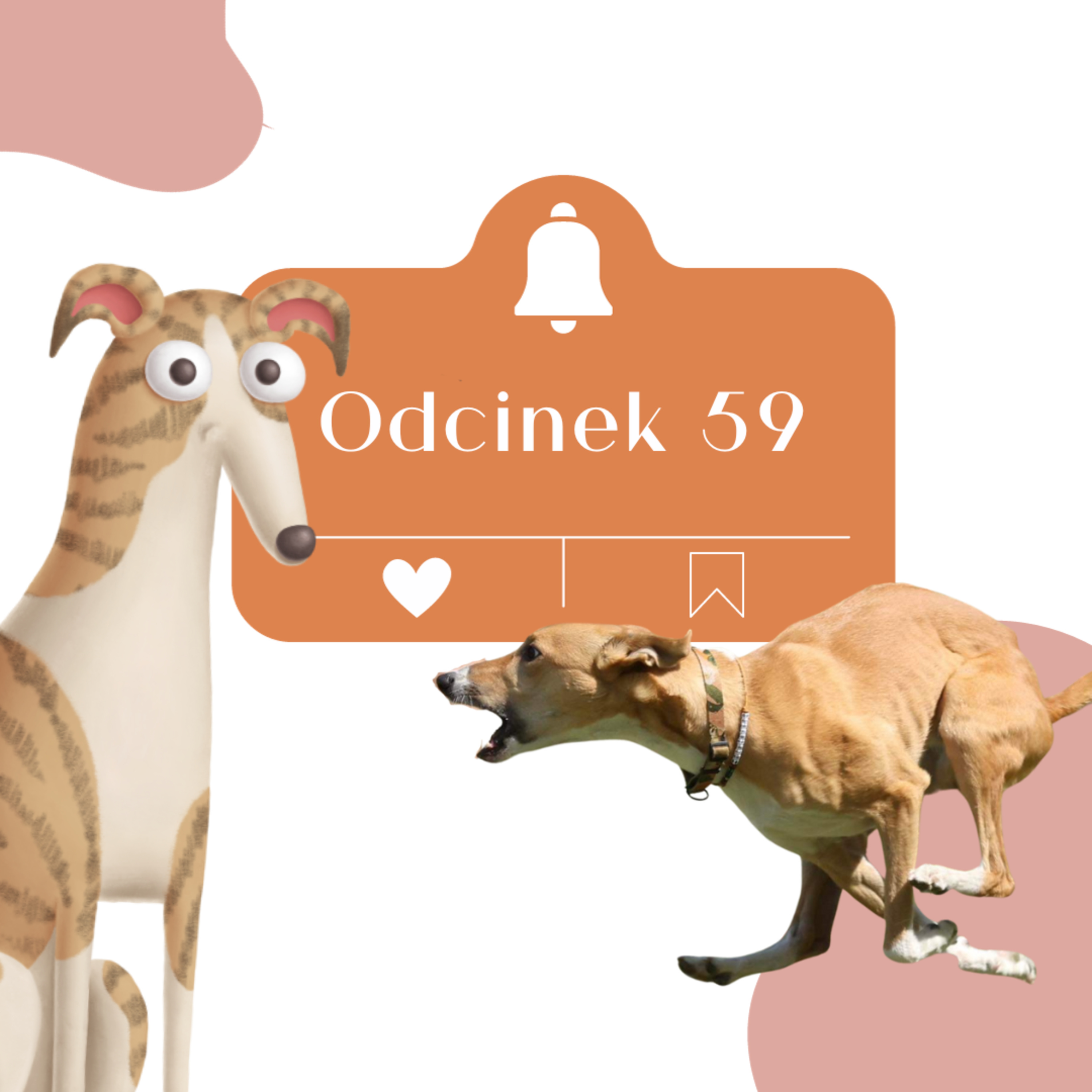 Odcinek 59 - O tym jak oduczyć psa szczekania.
