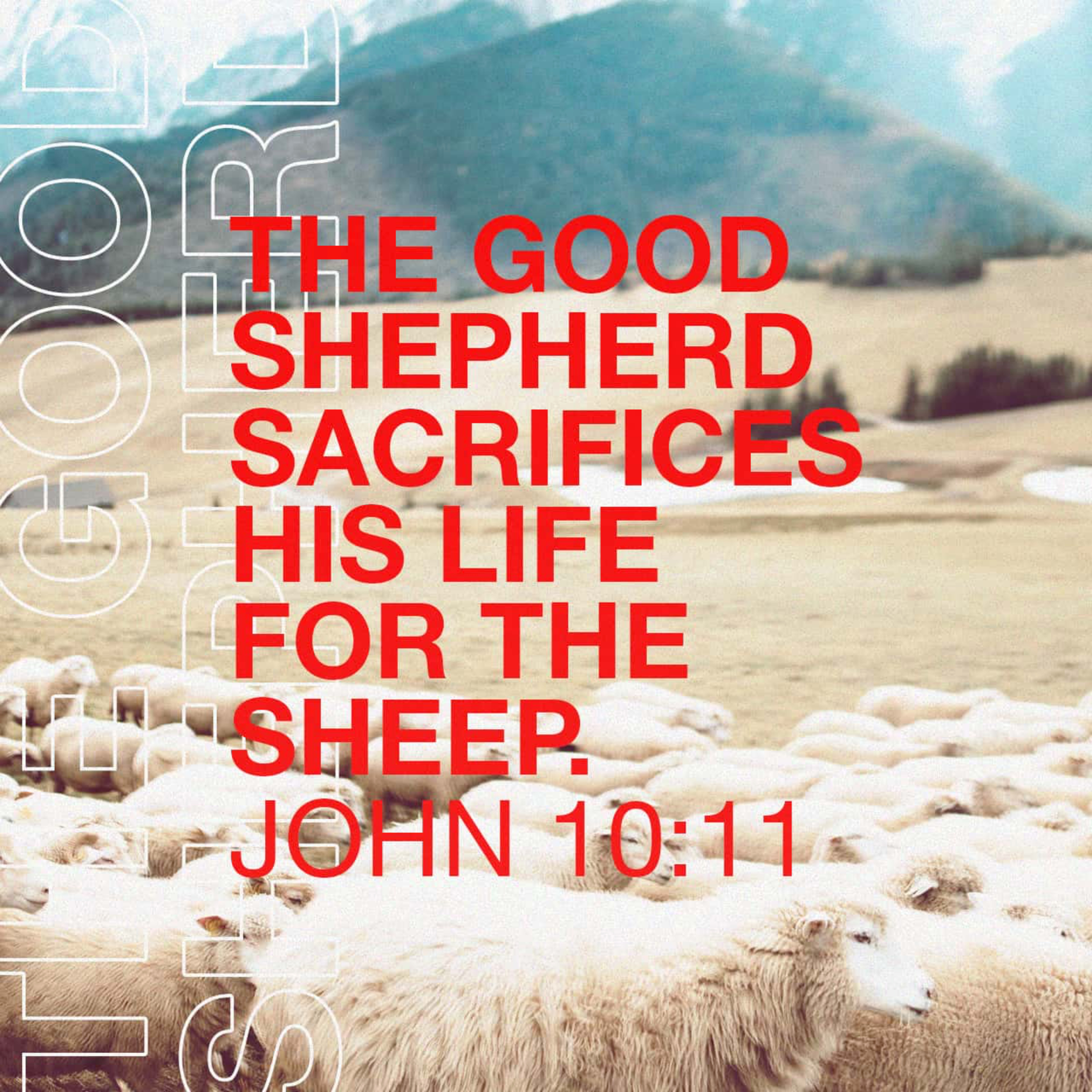 Living the Abundant Life