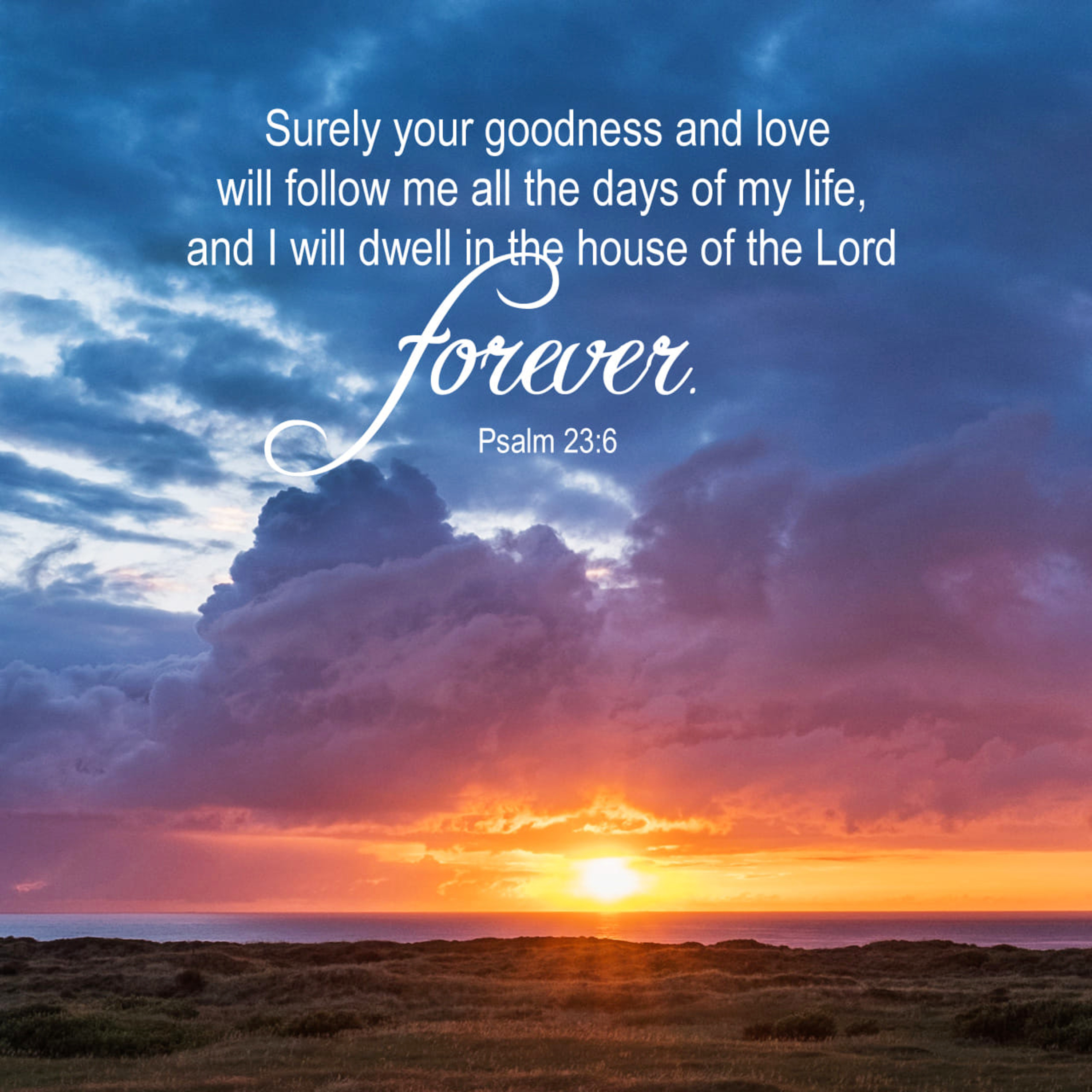 Living the Abundant Life