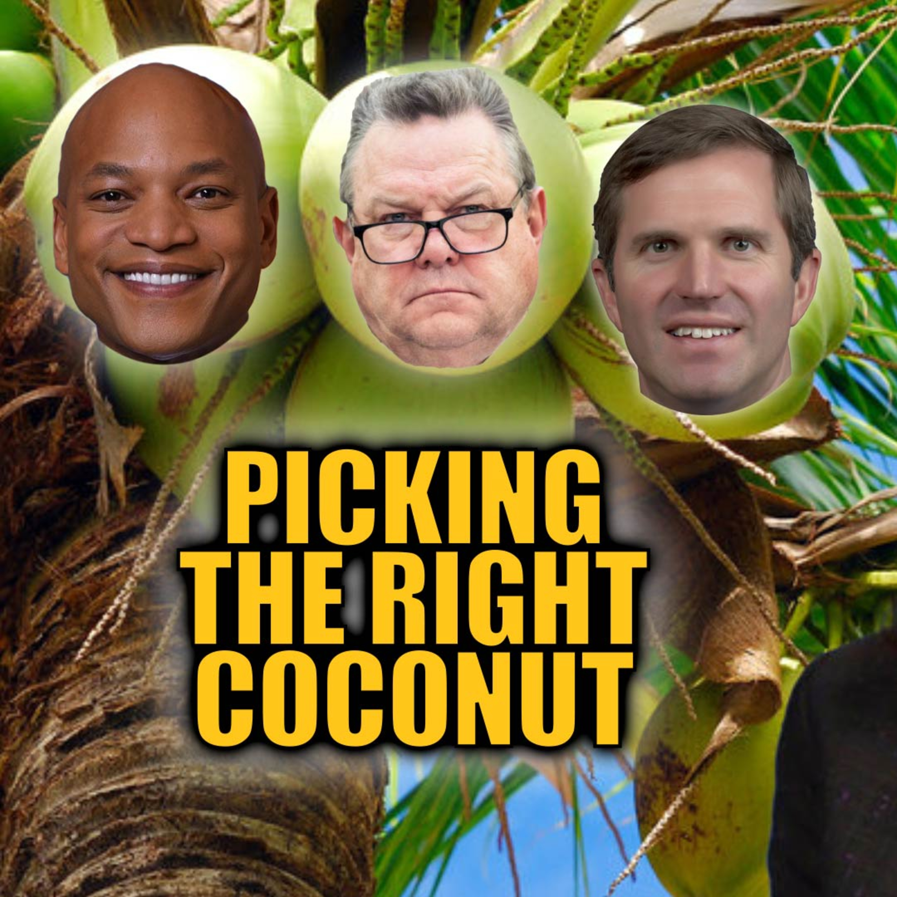 cover of episode Who is the Best VP Choices for Kamala Harris?