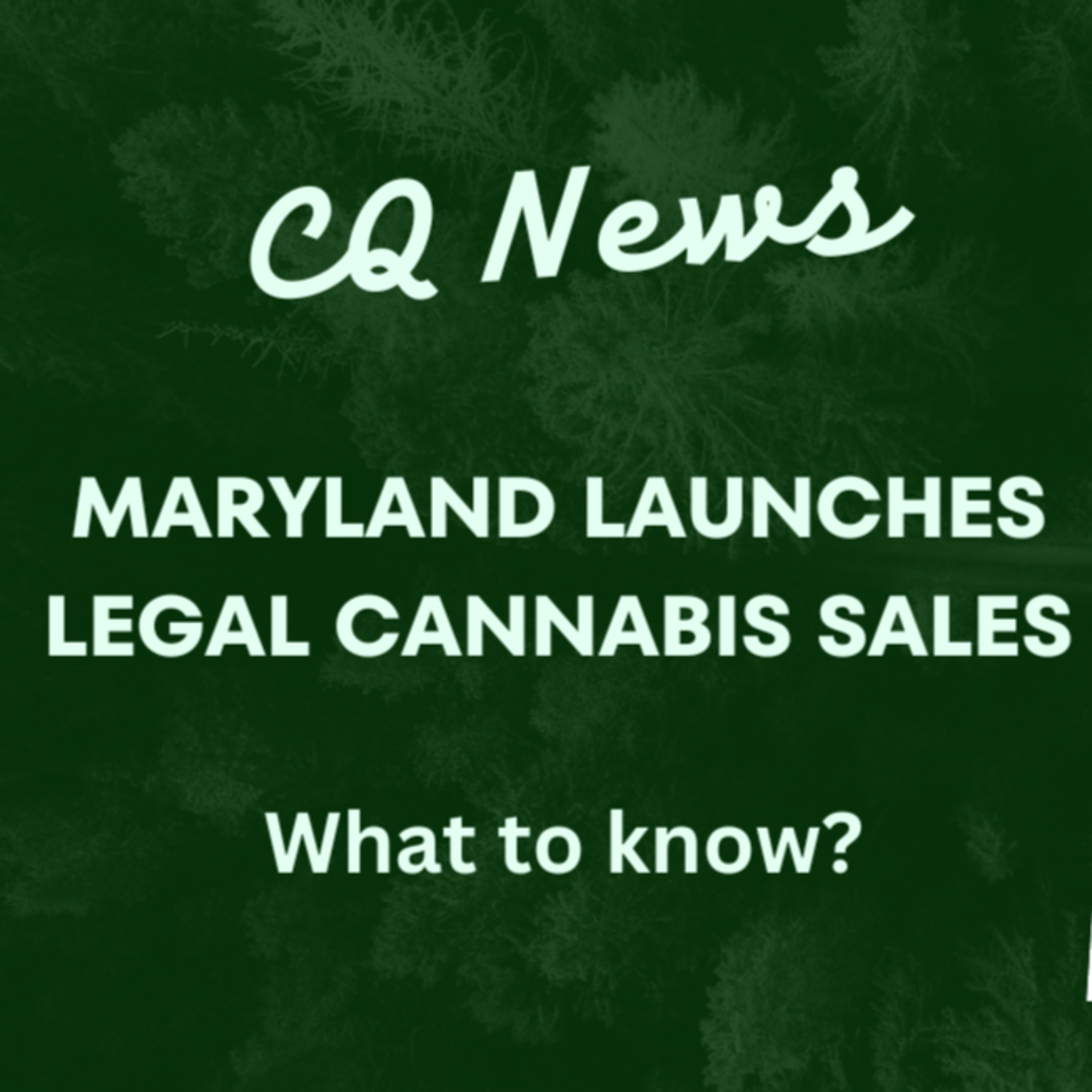 Maryland launches Cannabis sales! episode artwork
