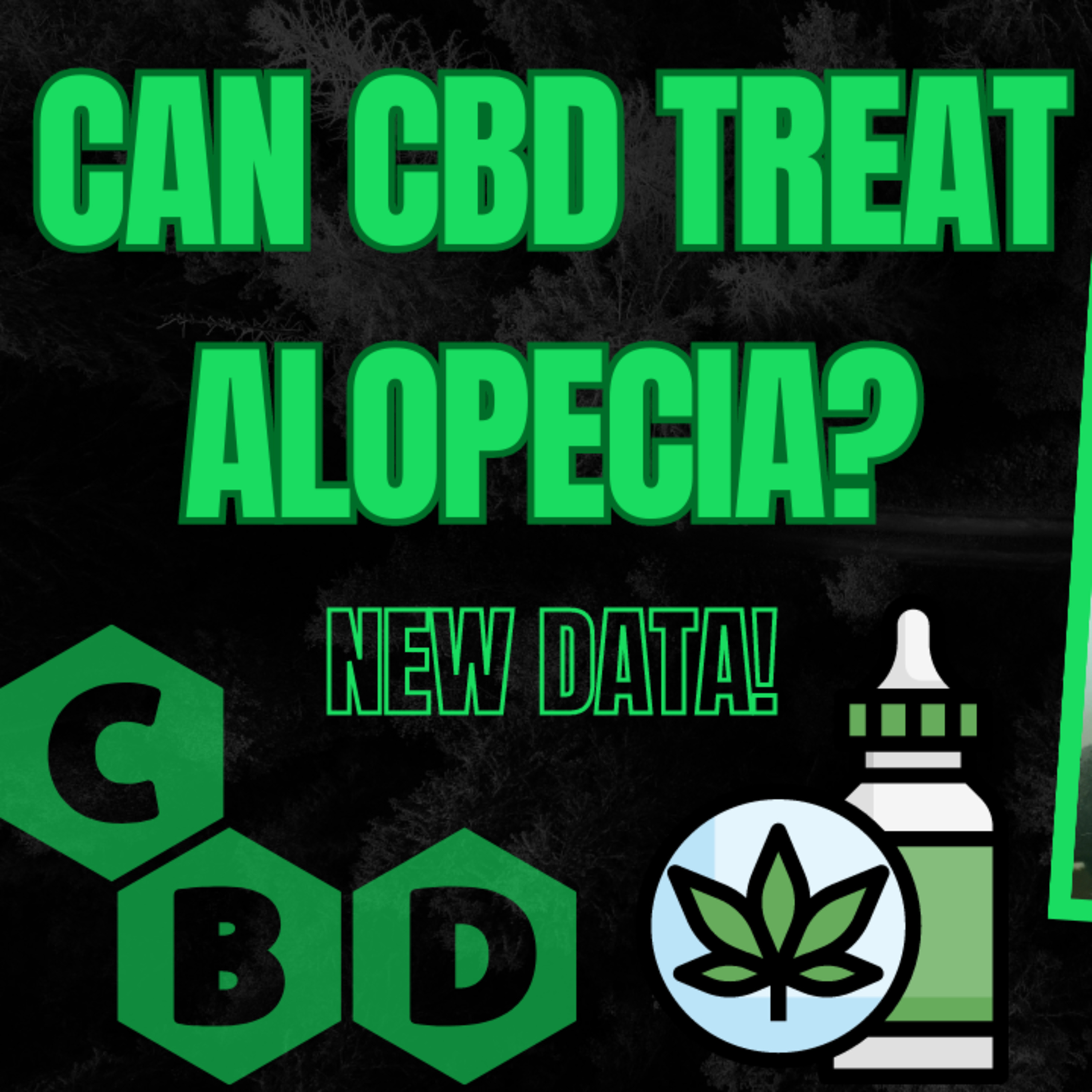 Can CBD Treat Alopecia? New Study Says...YES! episode artwork