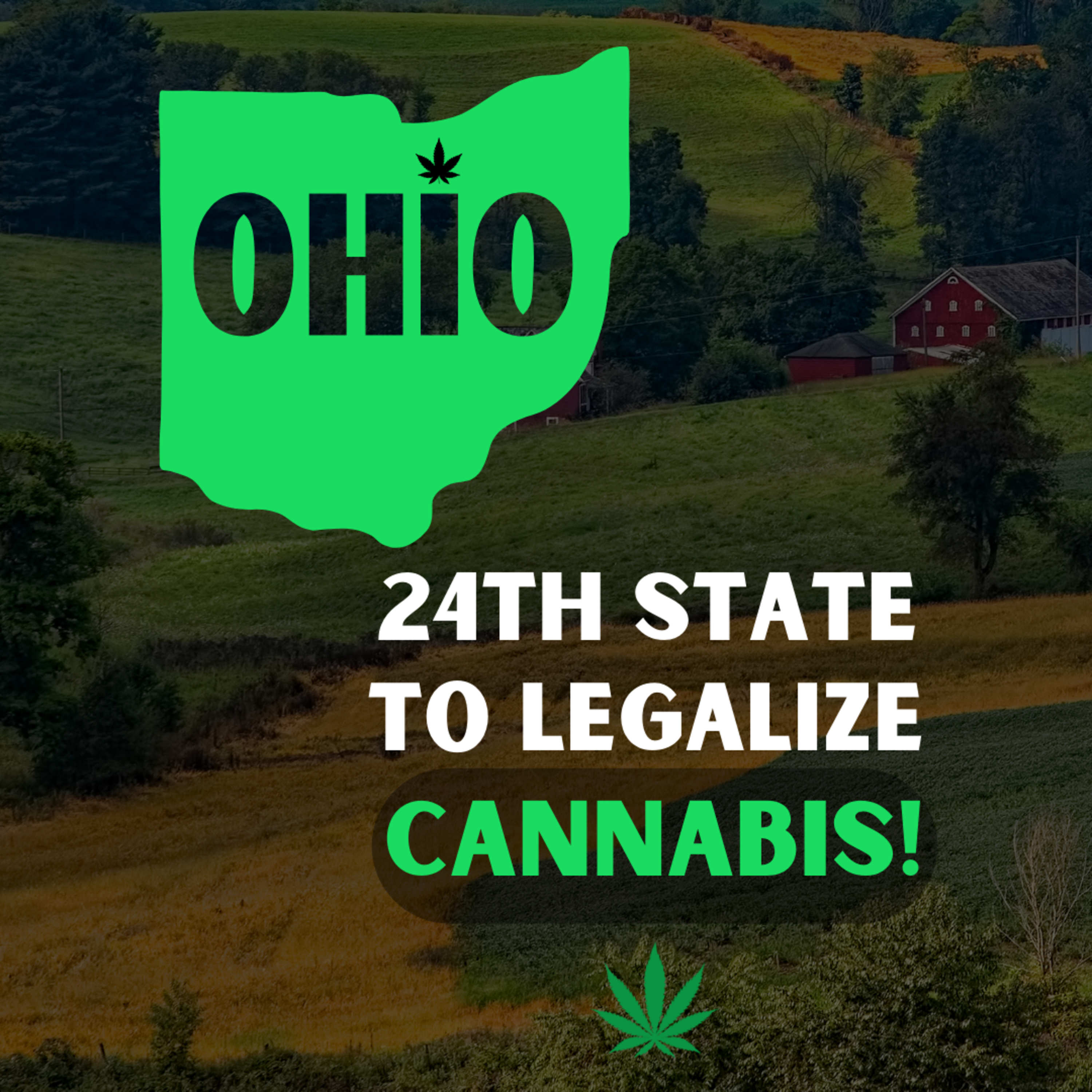 Ohio Becomes 24th State To Legalize Cannabis! 🚨 episode artwork
