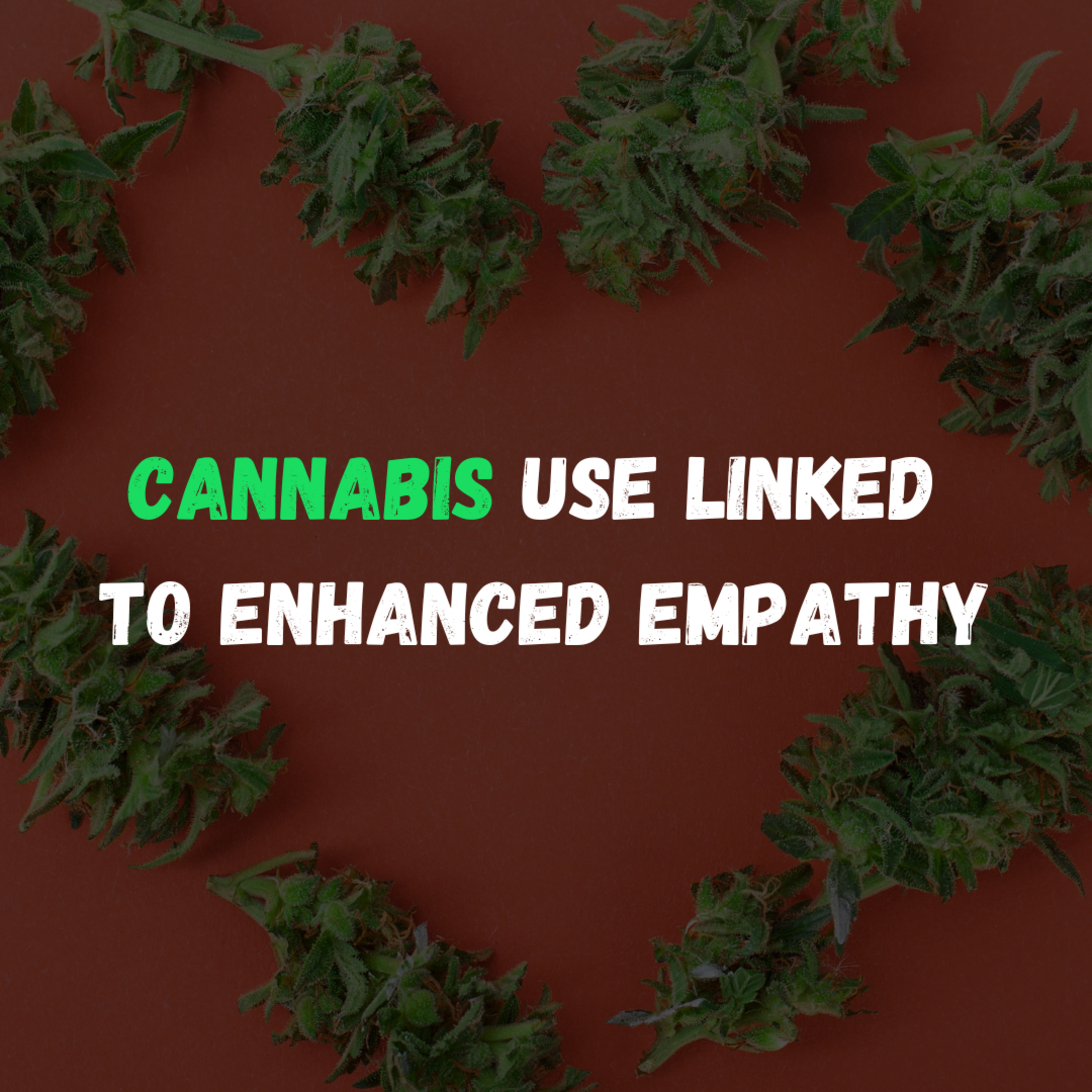 Is Cannabis Use Linked To Empathy? episode artwork