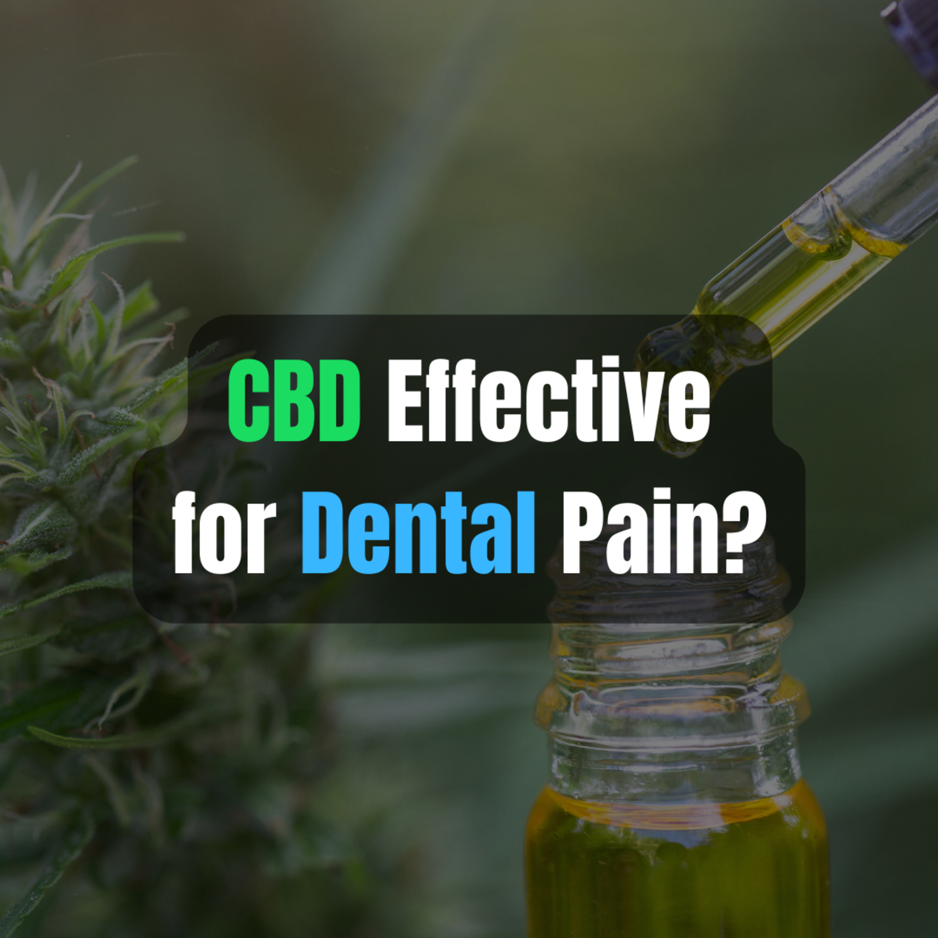 Can CBD Treat Dental Pain? episode artwork