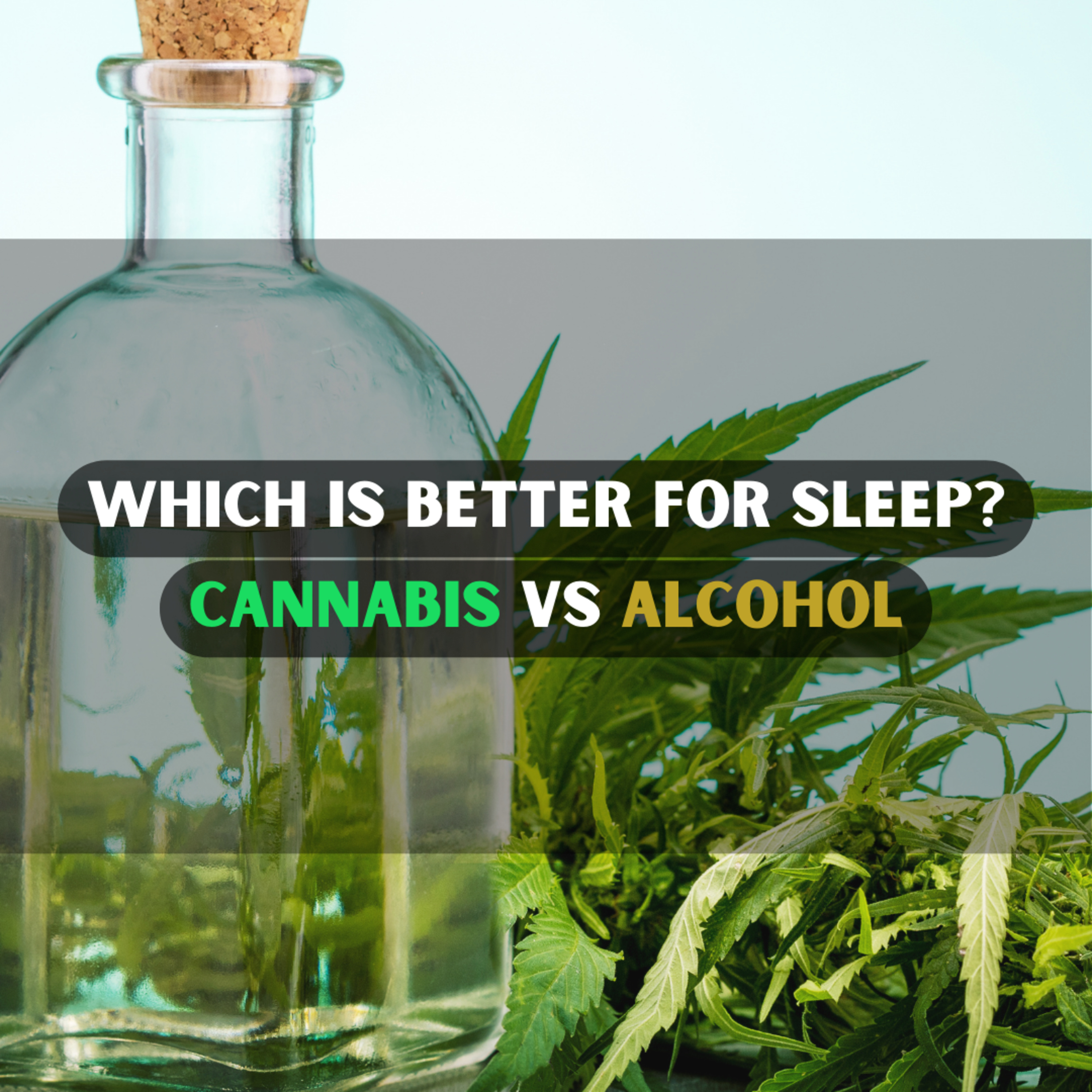 Better For Sleep? Cannabis vs Alcohol 🛌 episode artwork