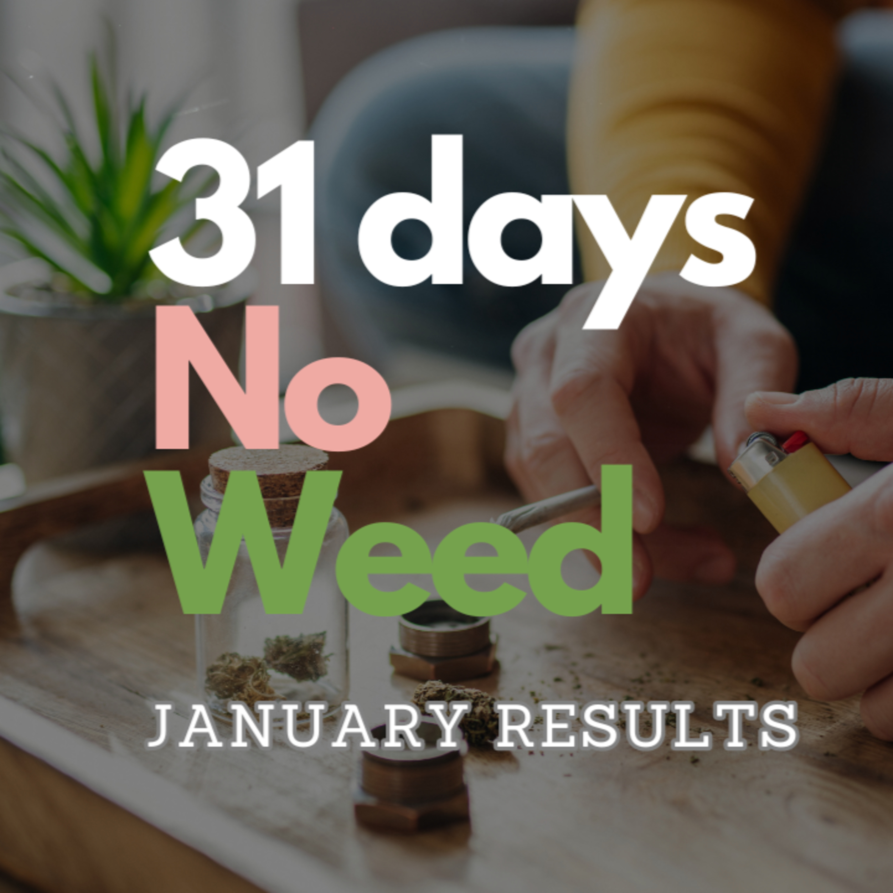 31 Days No Weed | January Results episode artwork