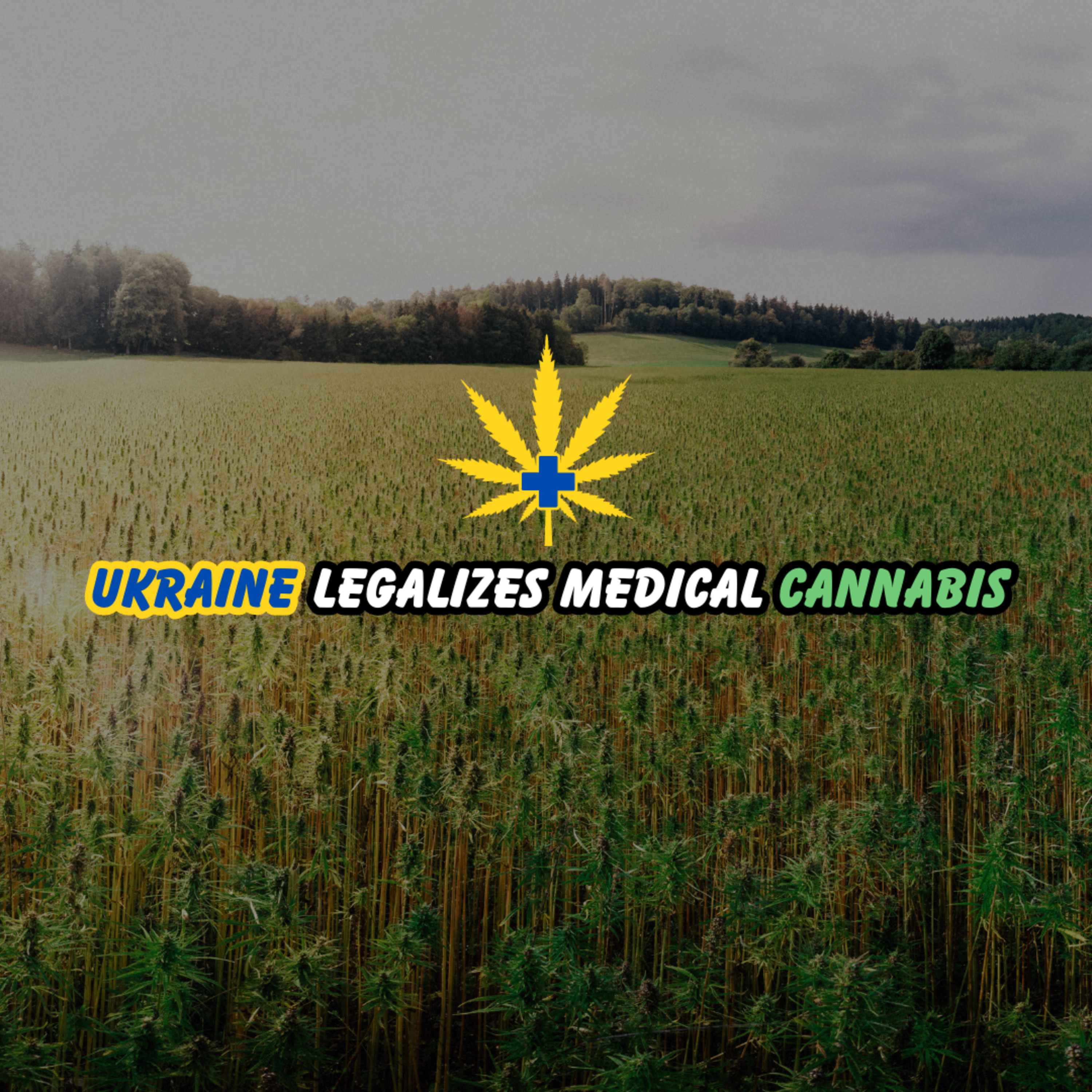 President Zelensky Signs Bill Legalizing Medical Cannabis In Ukraine episode artwork