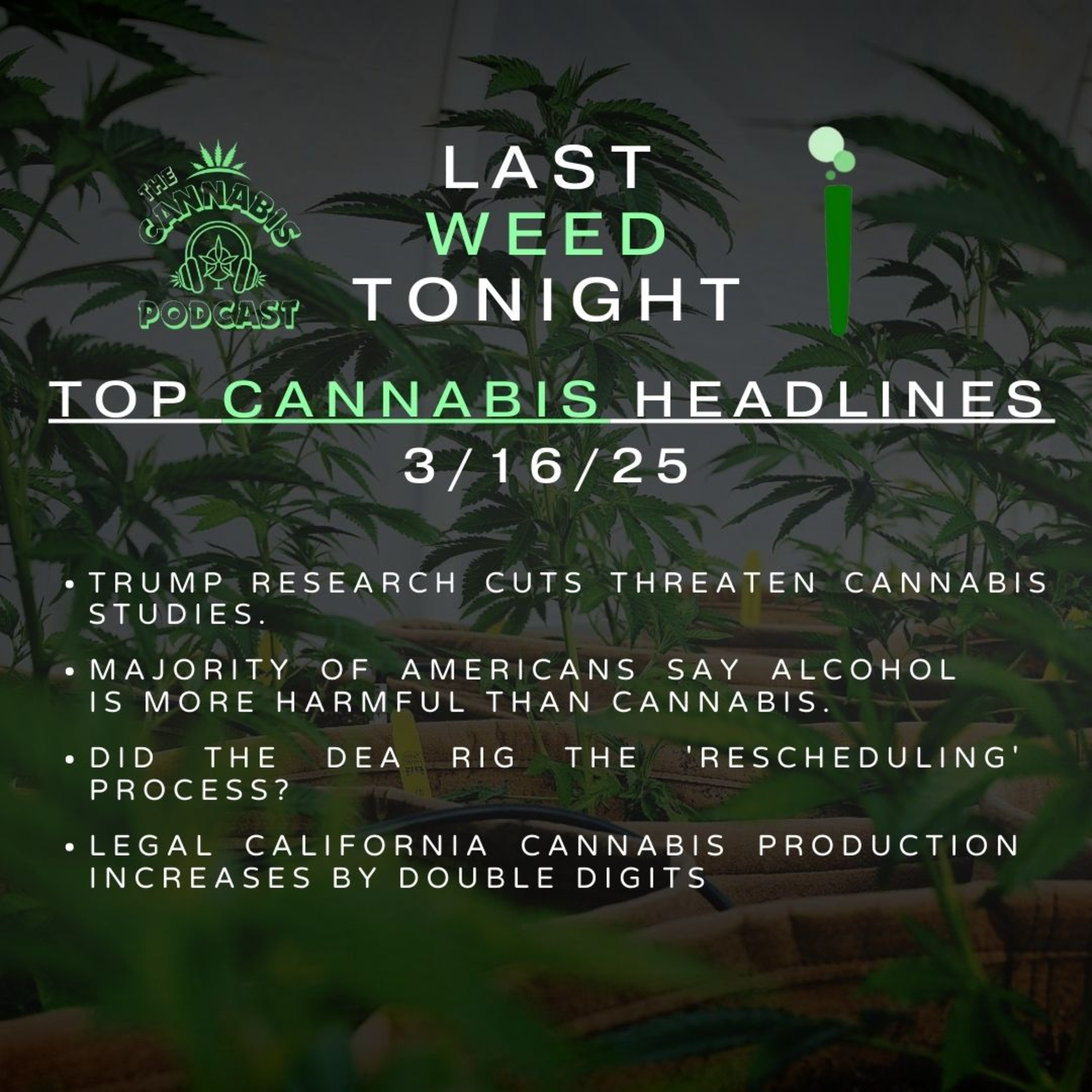 Top Cannabis News & Headlines w/ ‪@PHiLOSOPHEEZ‬ | The ‘CANNABIS’ Podcast episode artwork